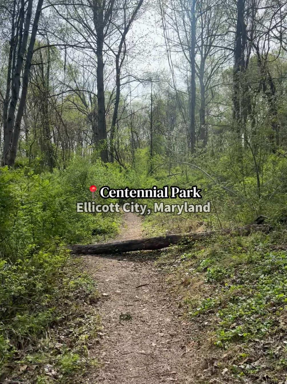 Centennial Park