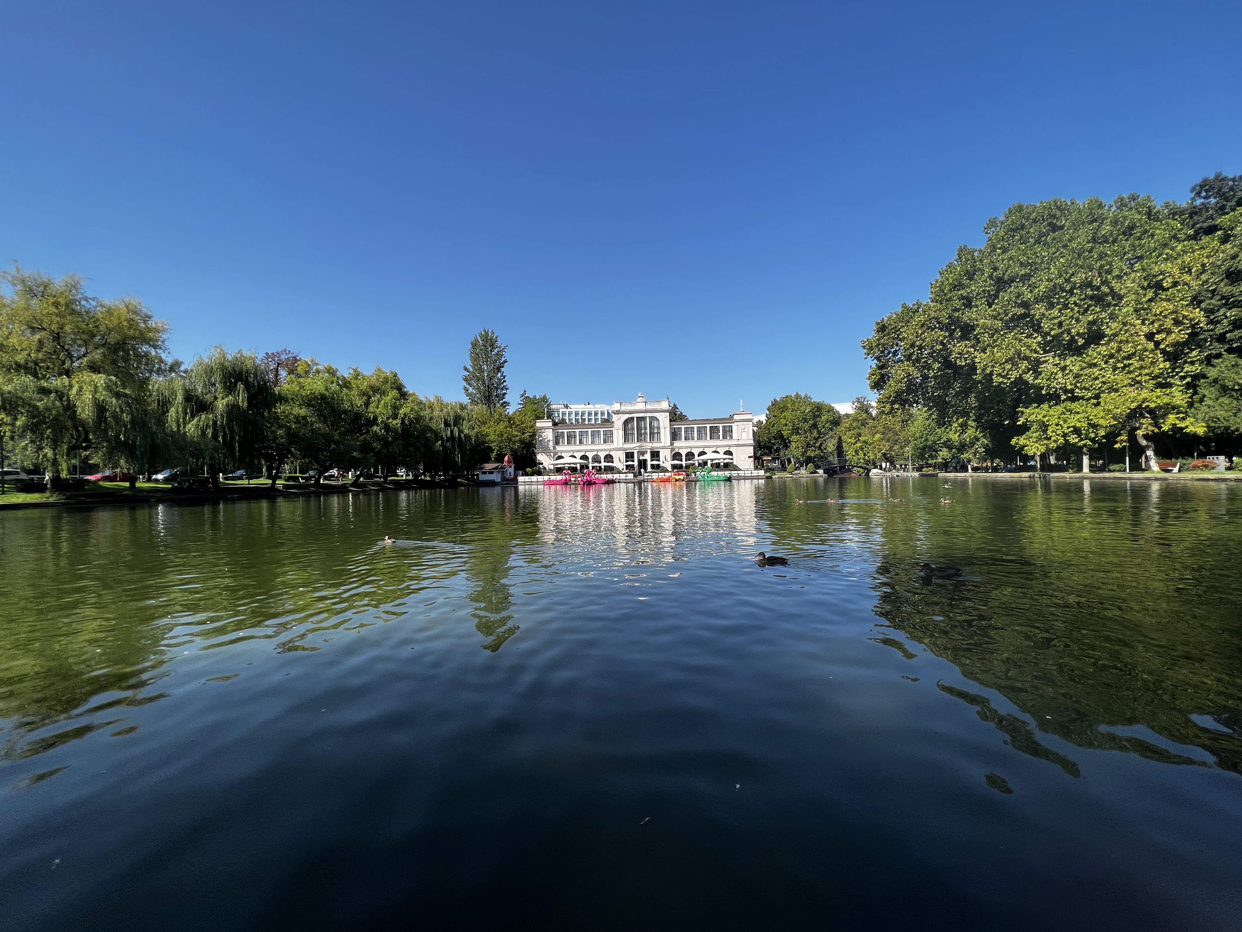 פארק המרכז (Parcul Central Simion Bărnuțiu)