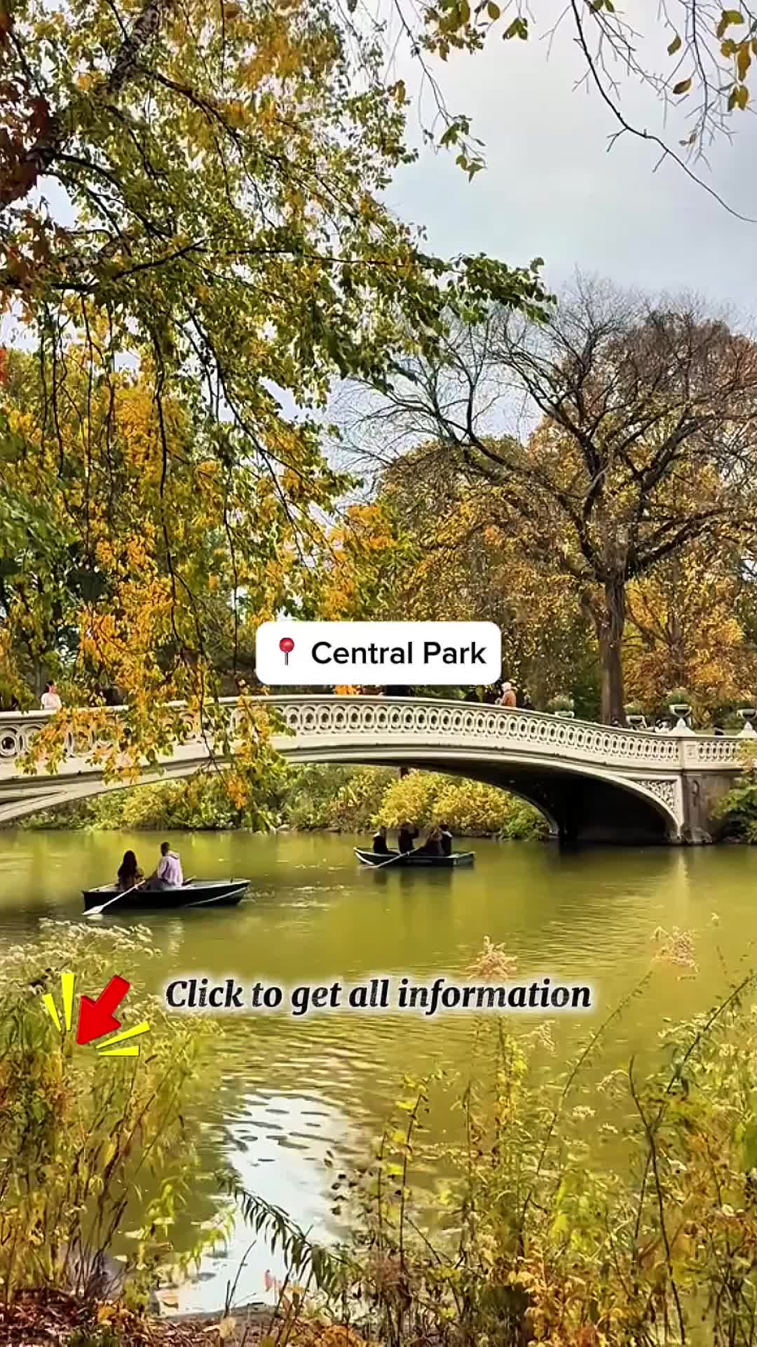 Central Park