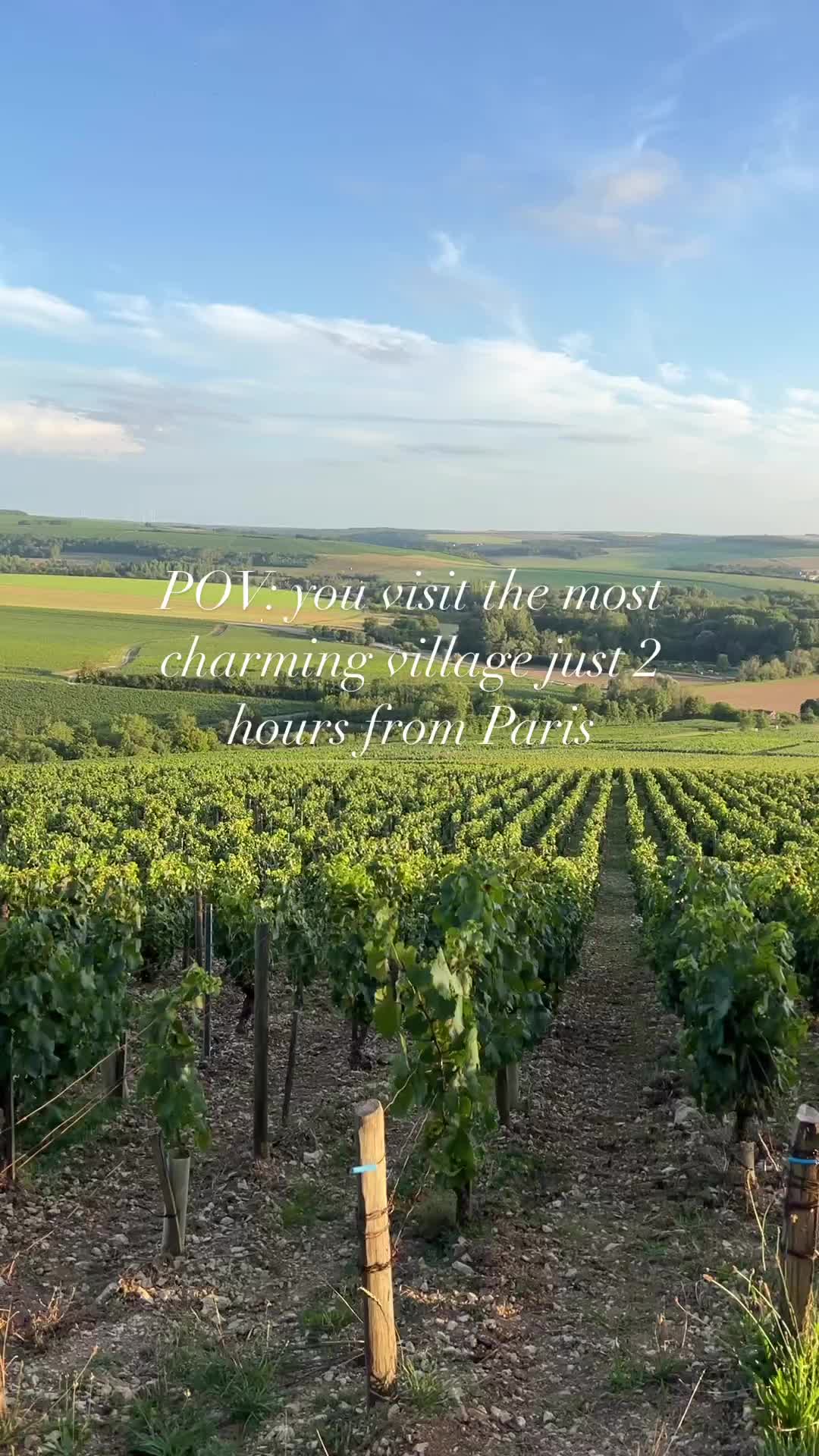 Chablis vineyards & countryside