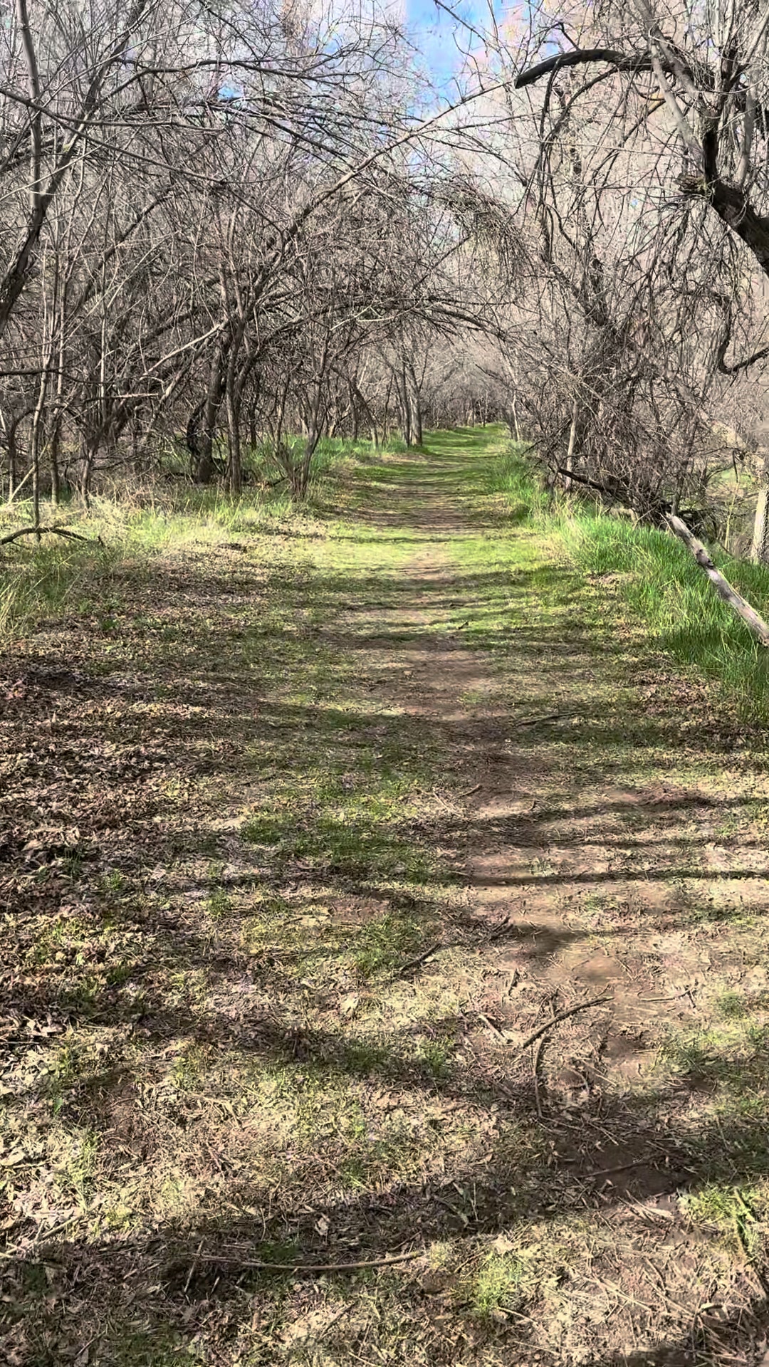 Chadron State Park, Nebraska