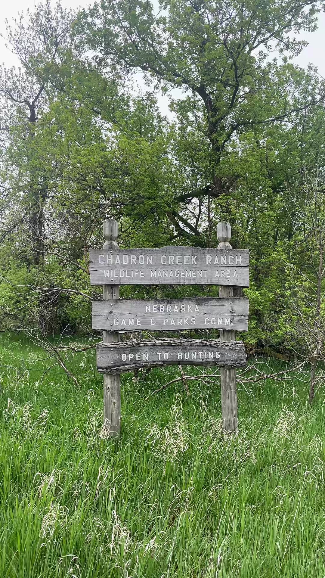 Chadron State Park, Nebraska