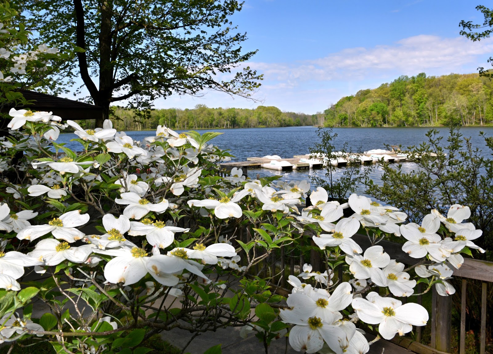 Chain O��’Lakes State Park