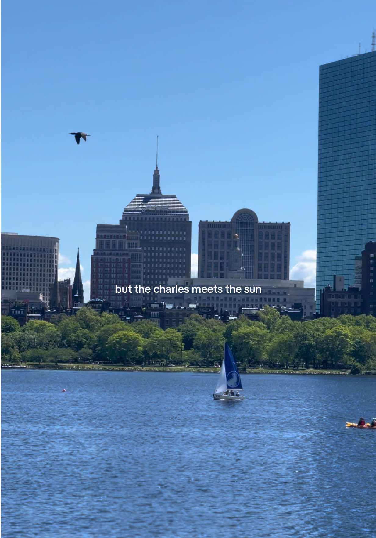 Charles River Esplanade