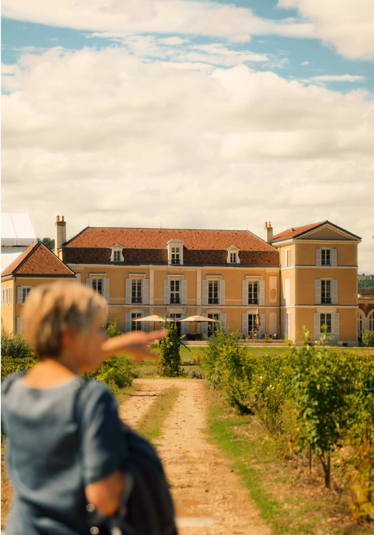 Château de Meursault (Meursault village)