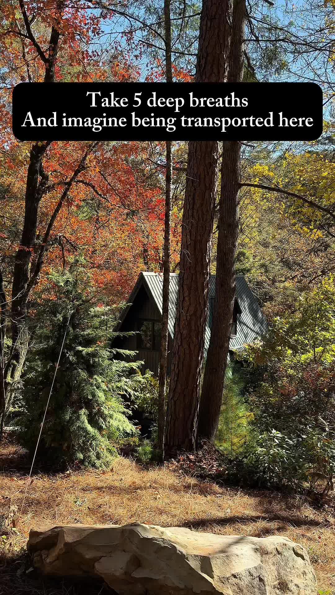 Chattahoochee National Forest