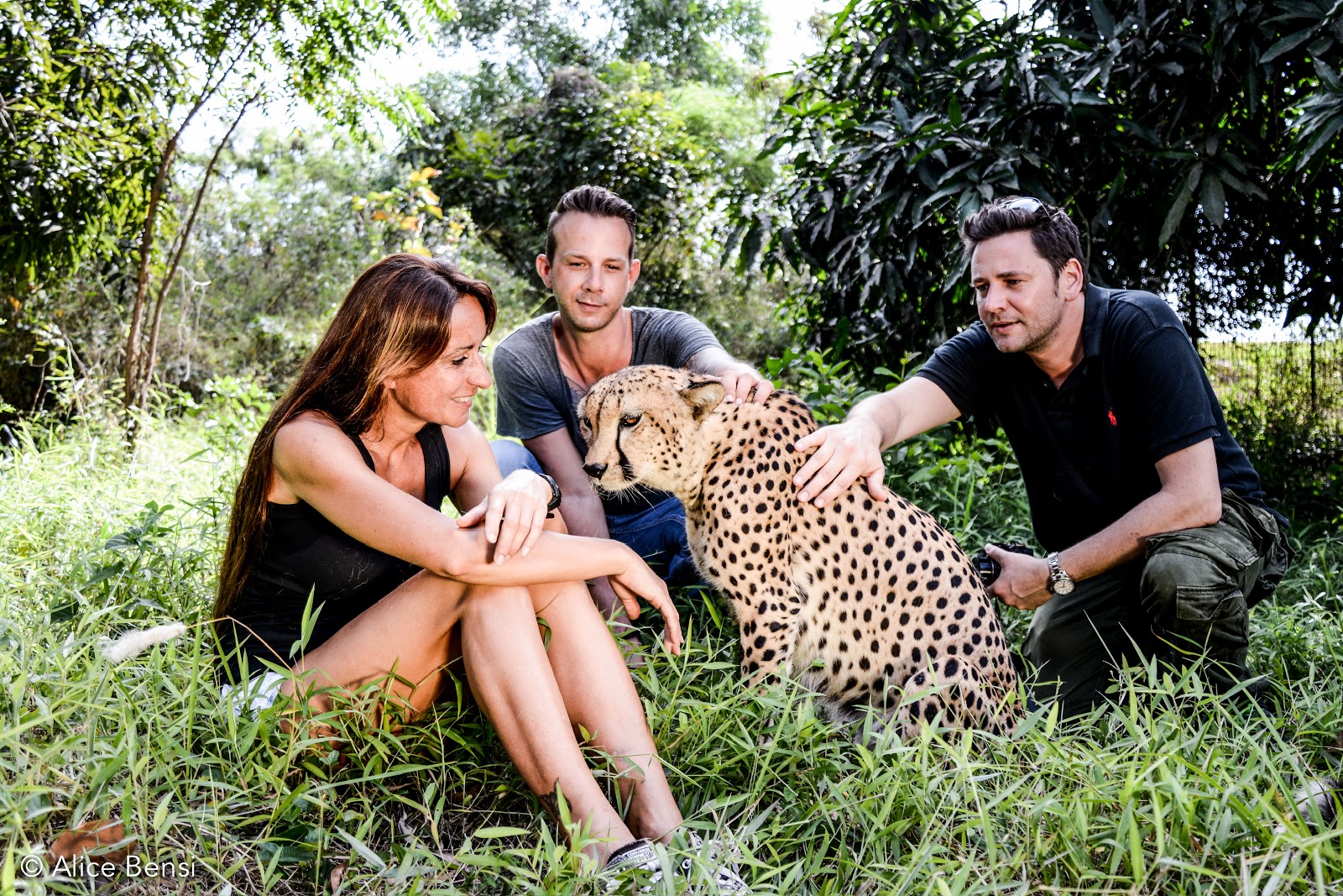 גן החיות Cheetah’s Rock