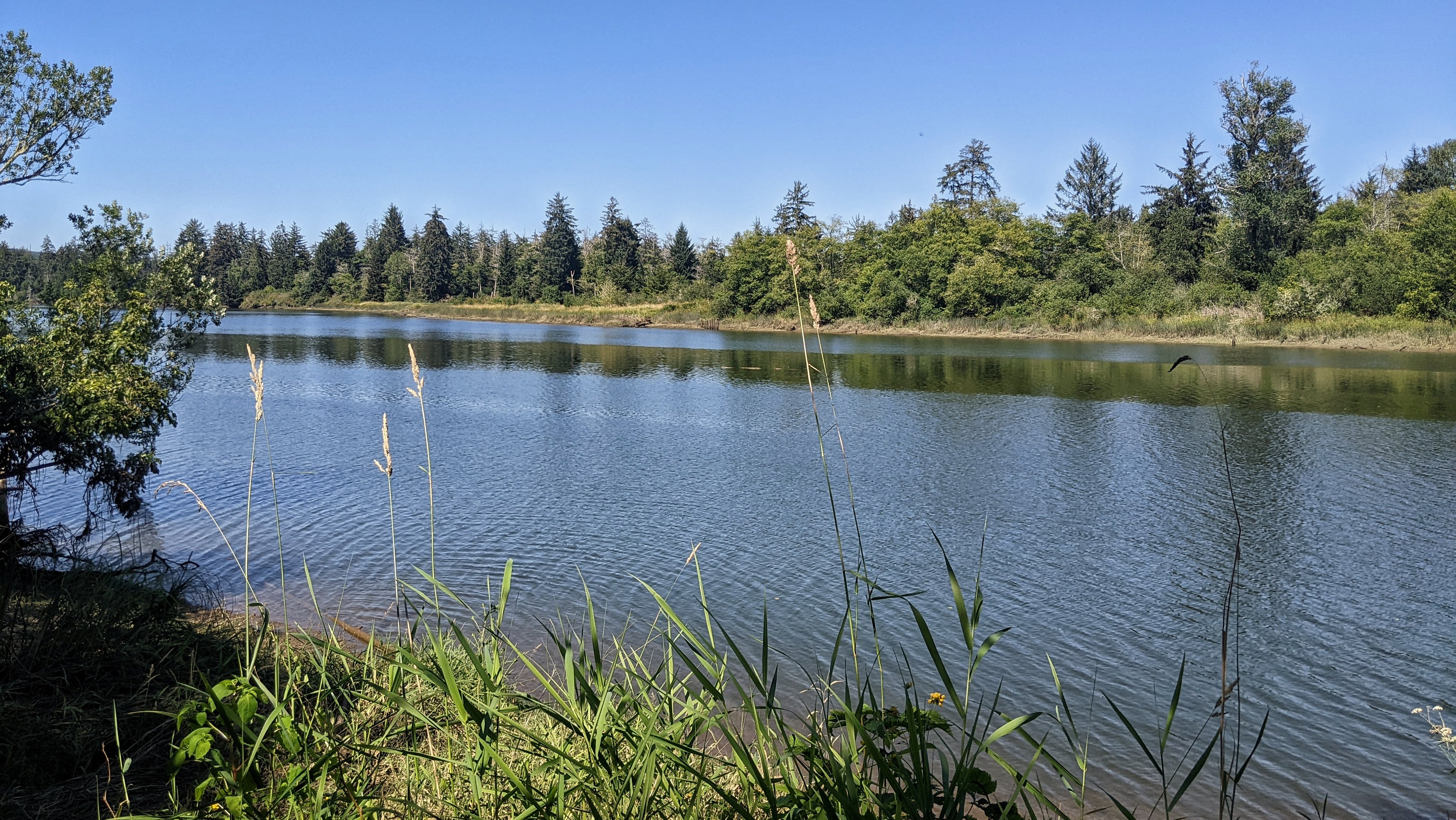 Picture for Chehalis River Surge Plain Natural Area Preserve