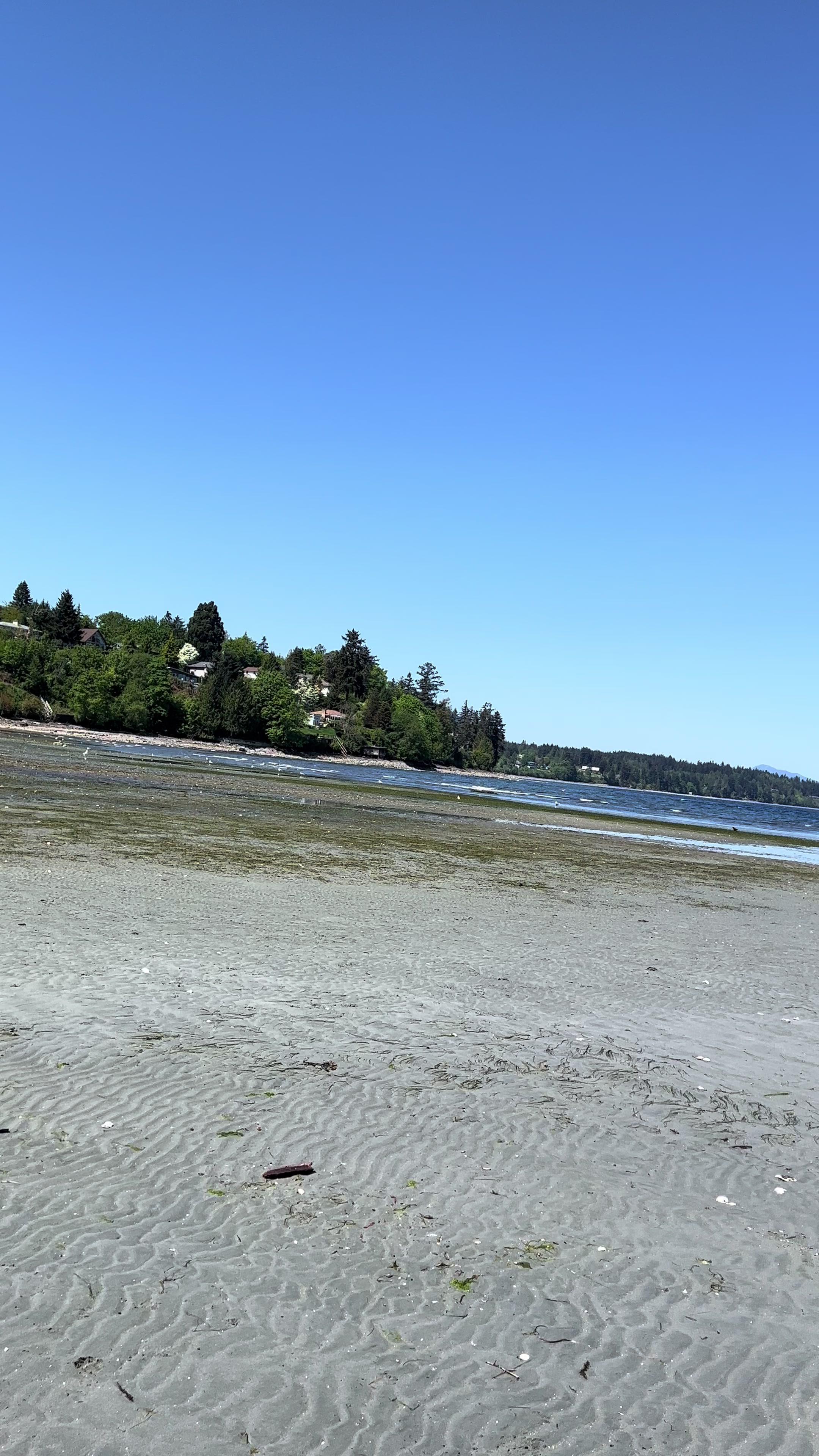 Chemainus