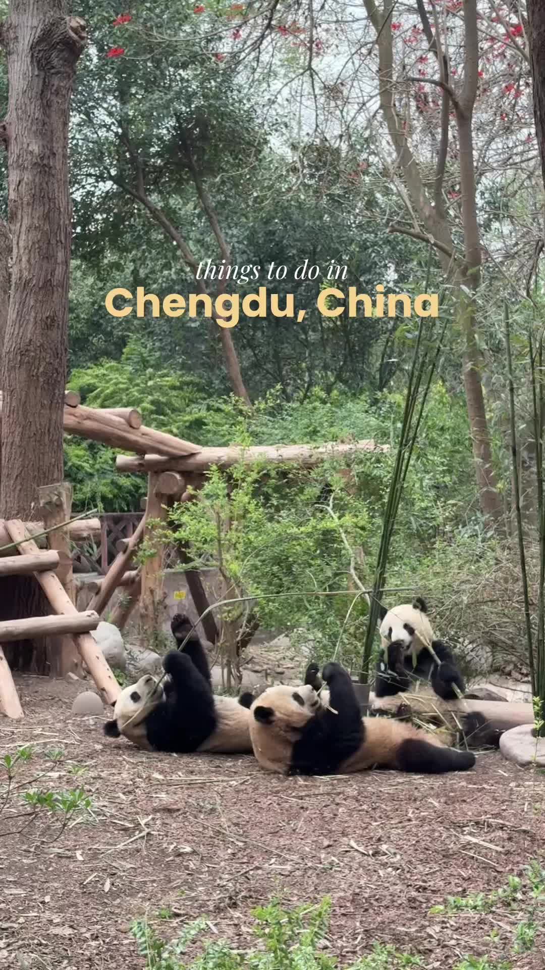 Chengdu Research Base of Giant Panda Breeding (成都大熊猫繁育研究基地)