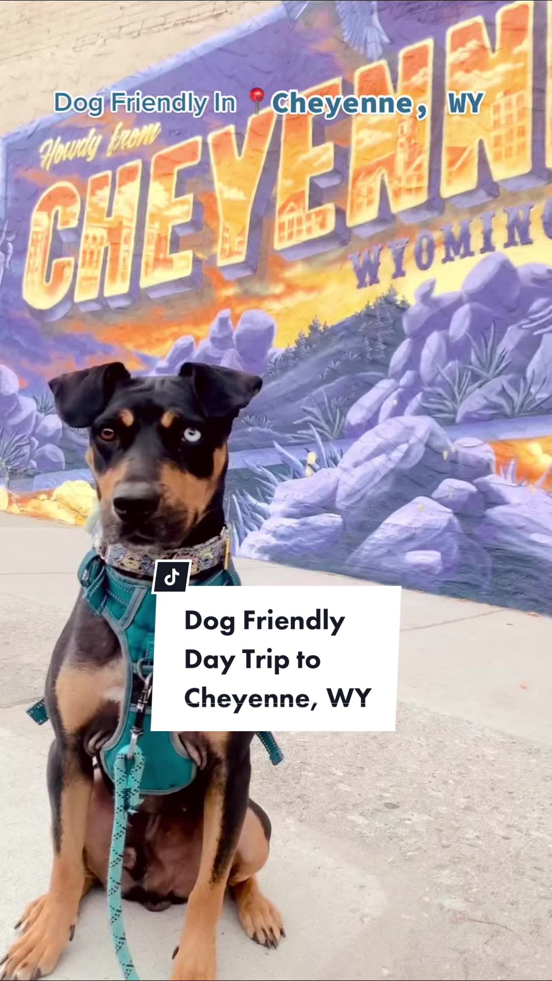 Cheyenne, WY