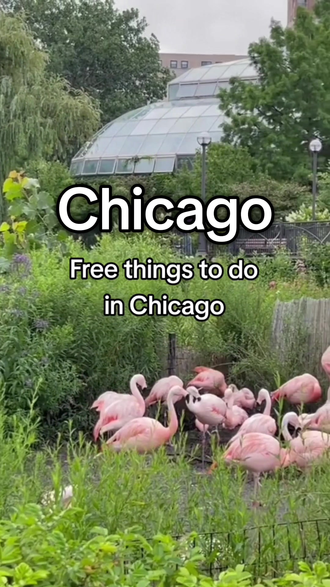 Chicago, Illinois
