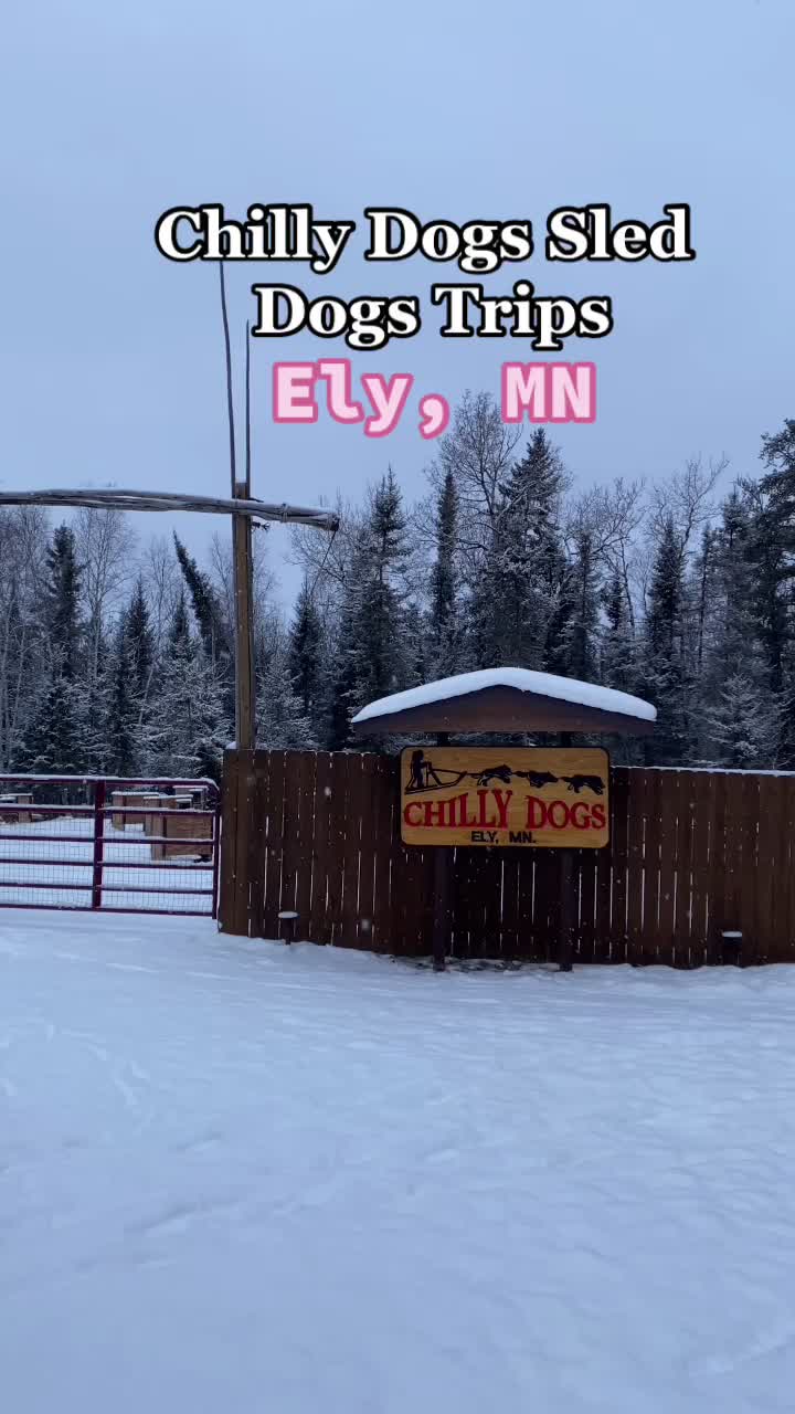 Chilly Dogs Sled Dog Trips