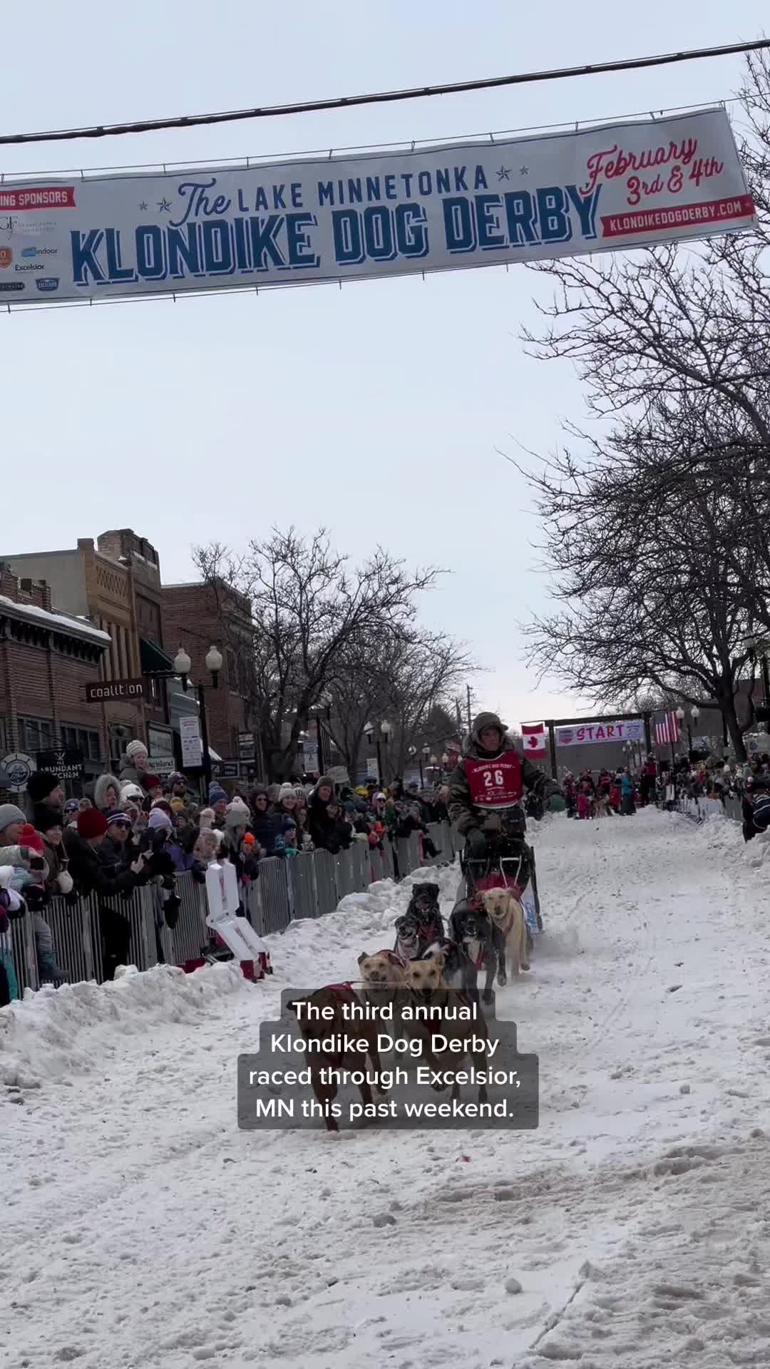 Chilly Dogs Sled Dog Trips