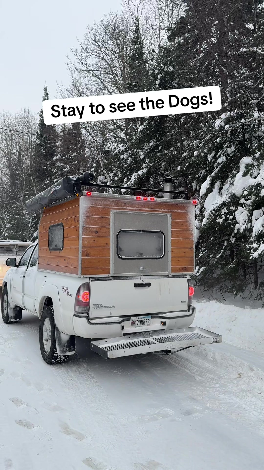 Chilly Dogs Sled Dog Trips