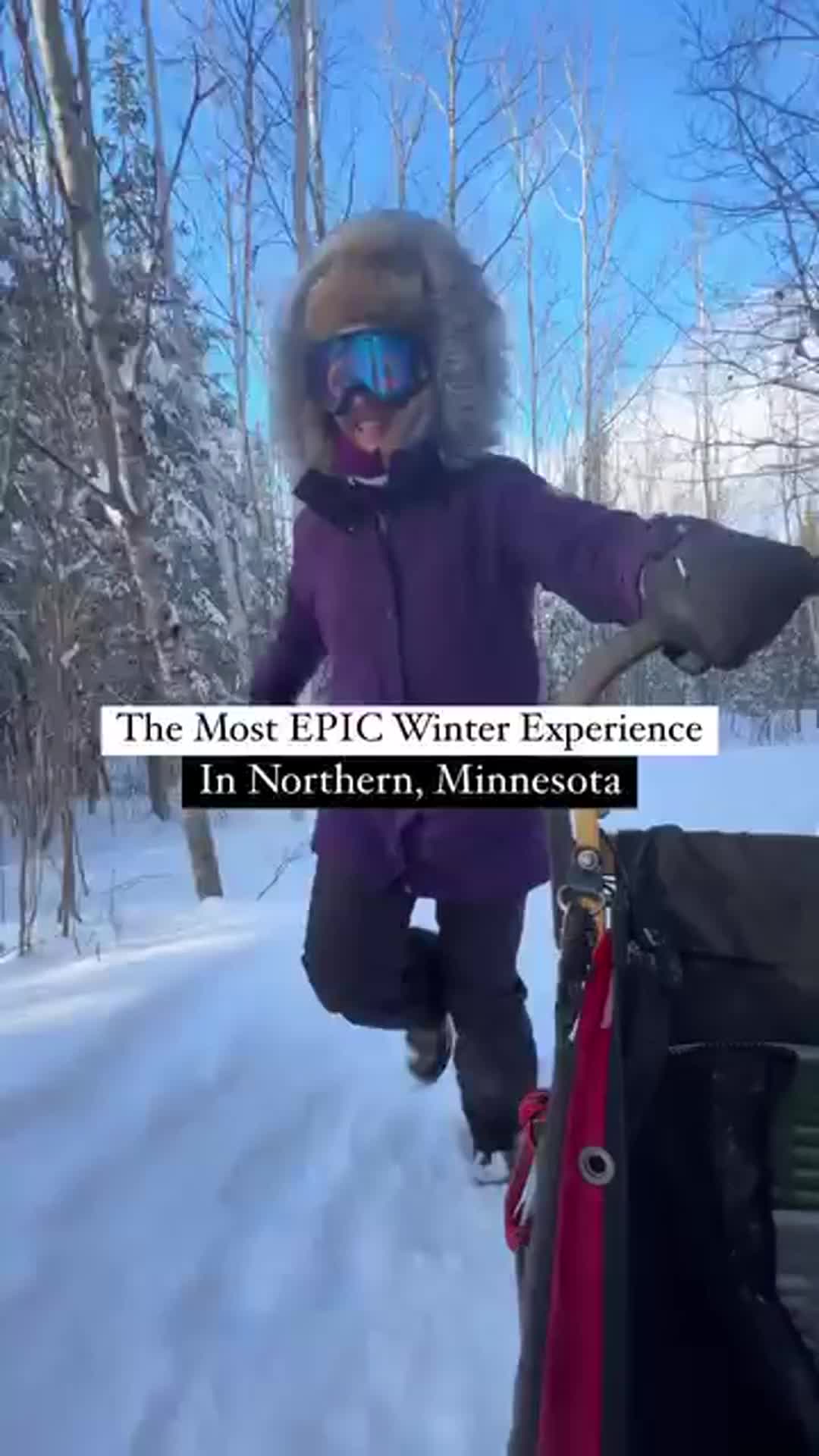 Chilly Dogs Sled Dog Trips