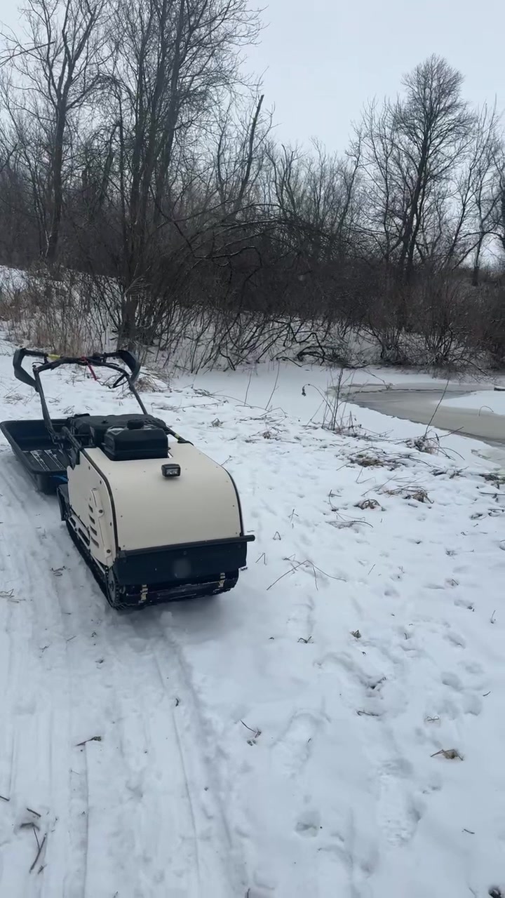 Chilly Dogs Sled Dog Trips