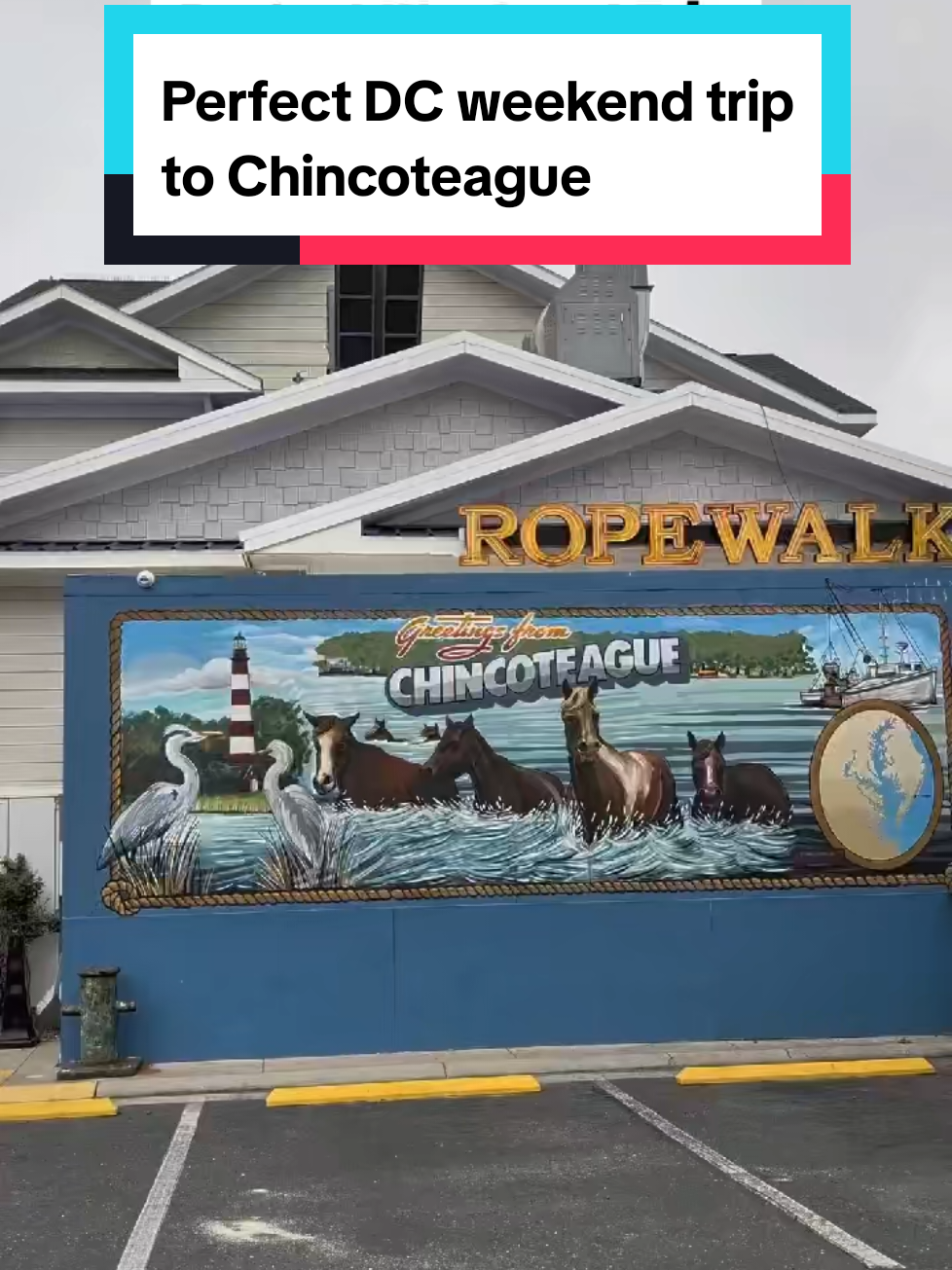 Chincoteague Island