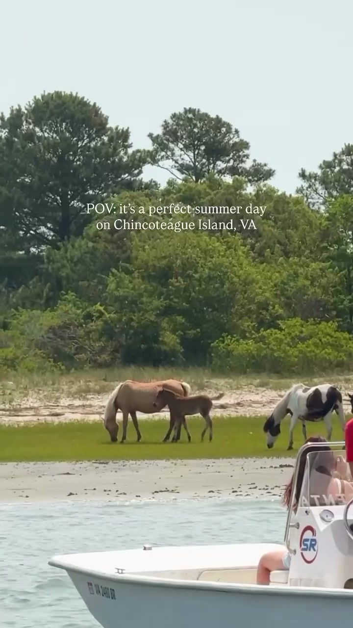 Chincoteague Island