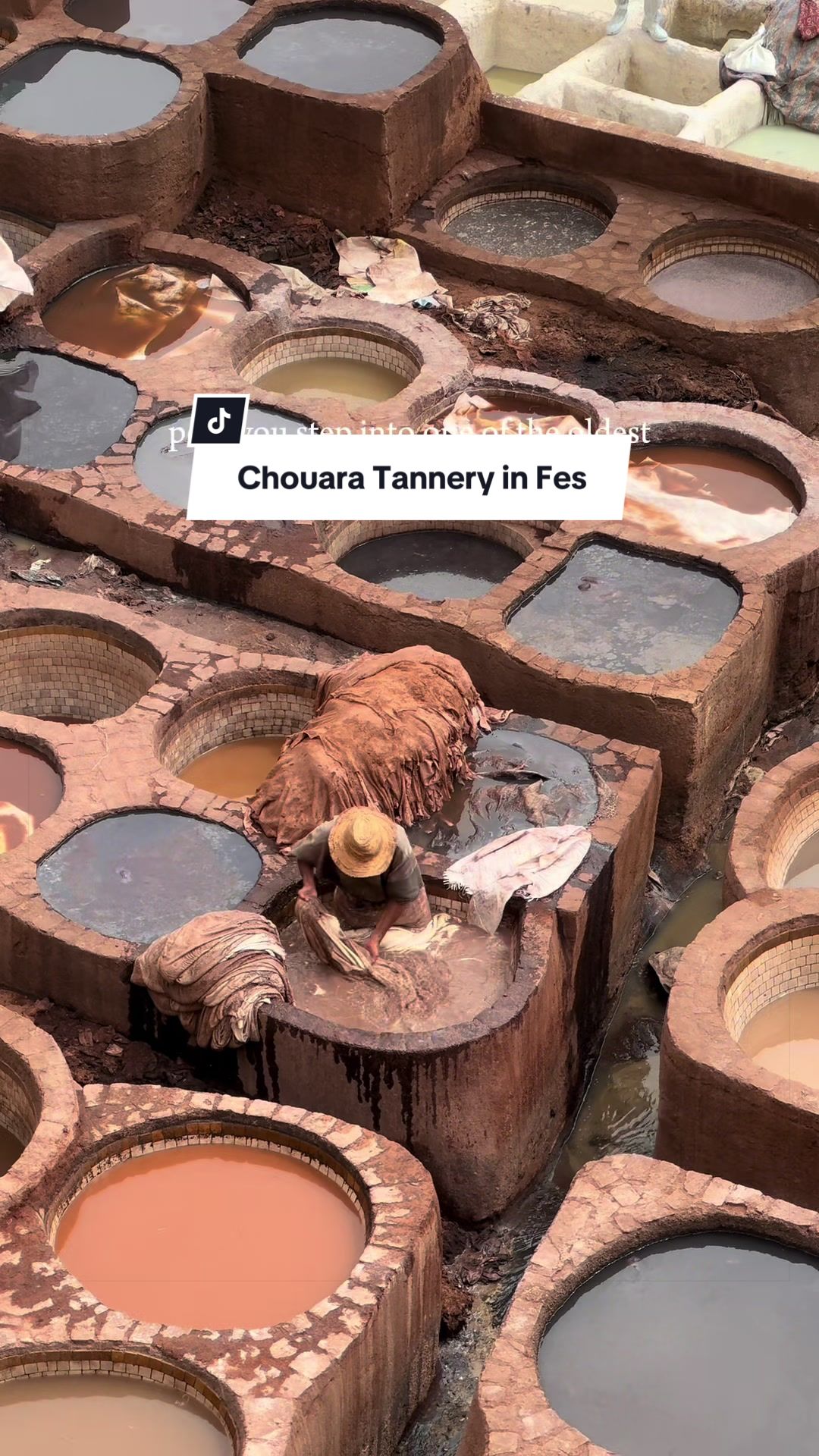 Chouara Tannery