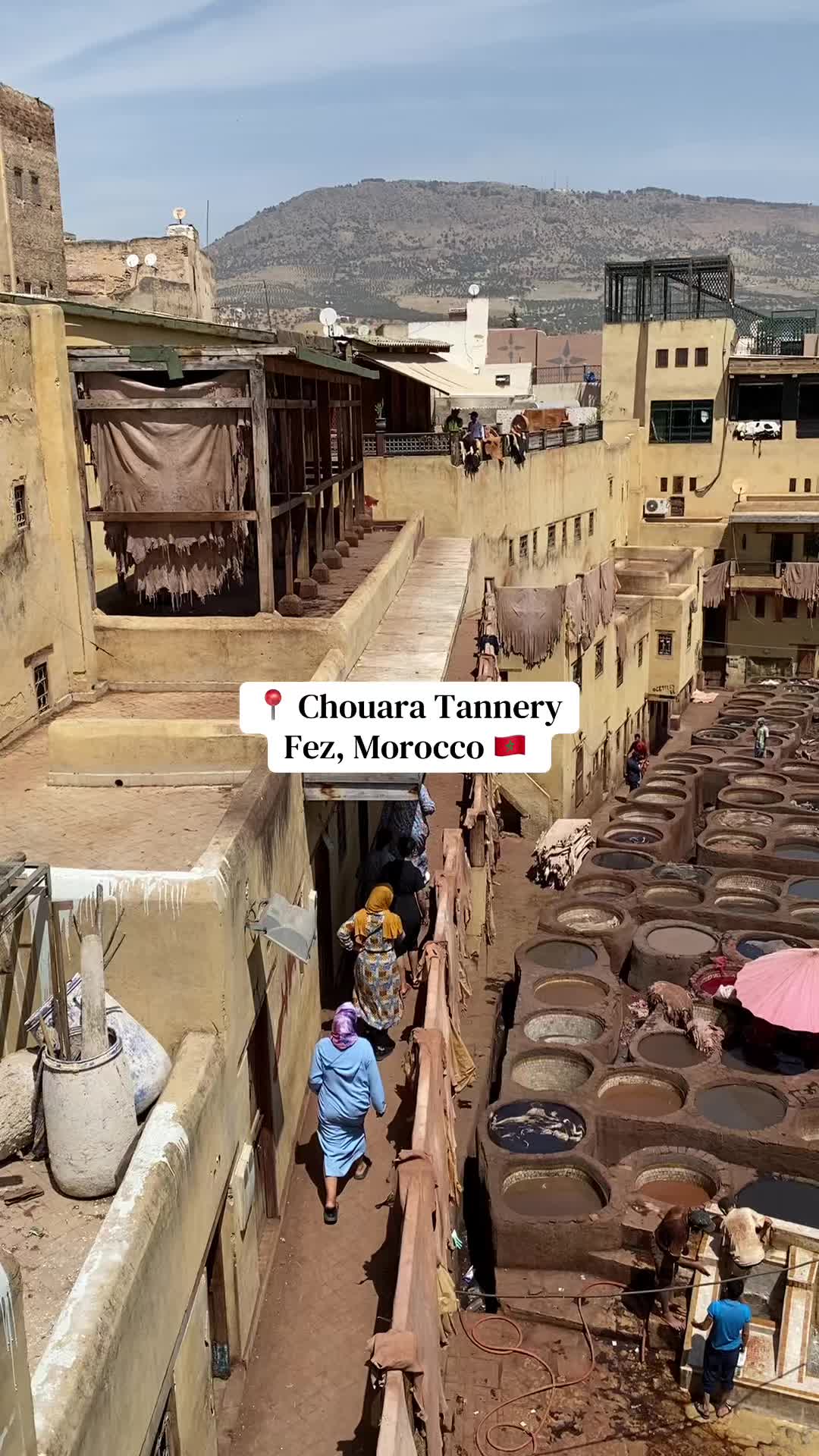 Chouara Tannery