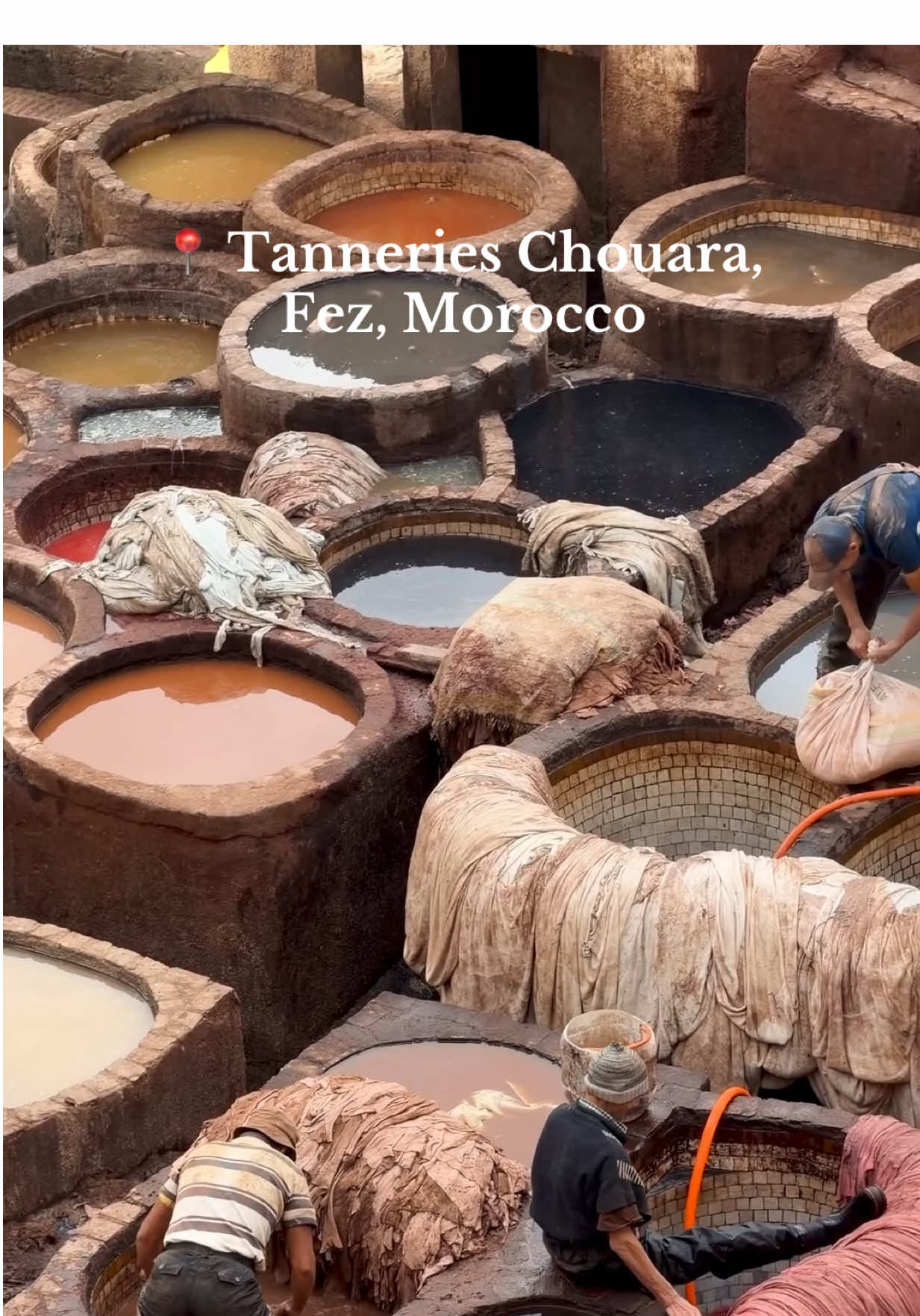 Chouara Tannery