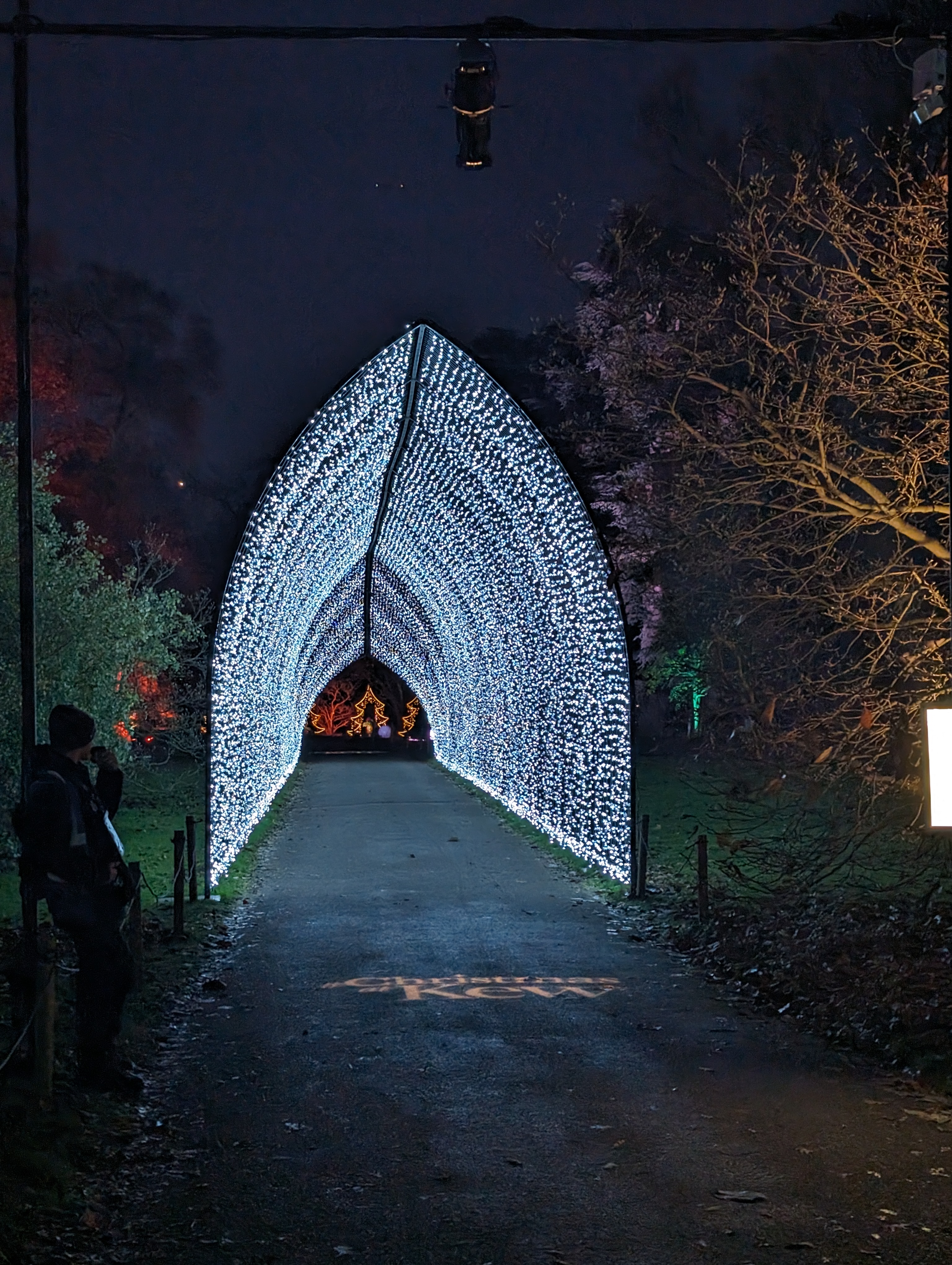 Kew Gardens Christmas at Kew