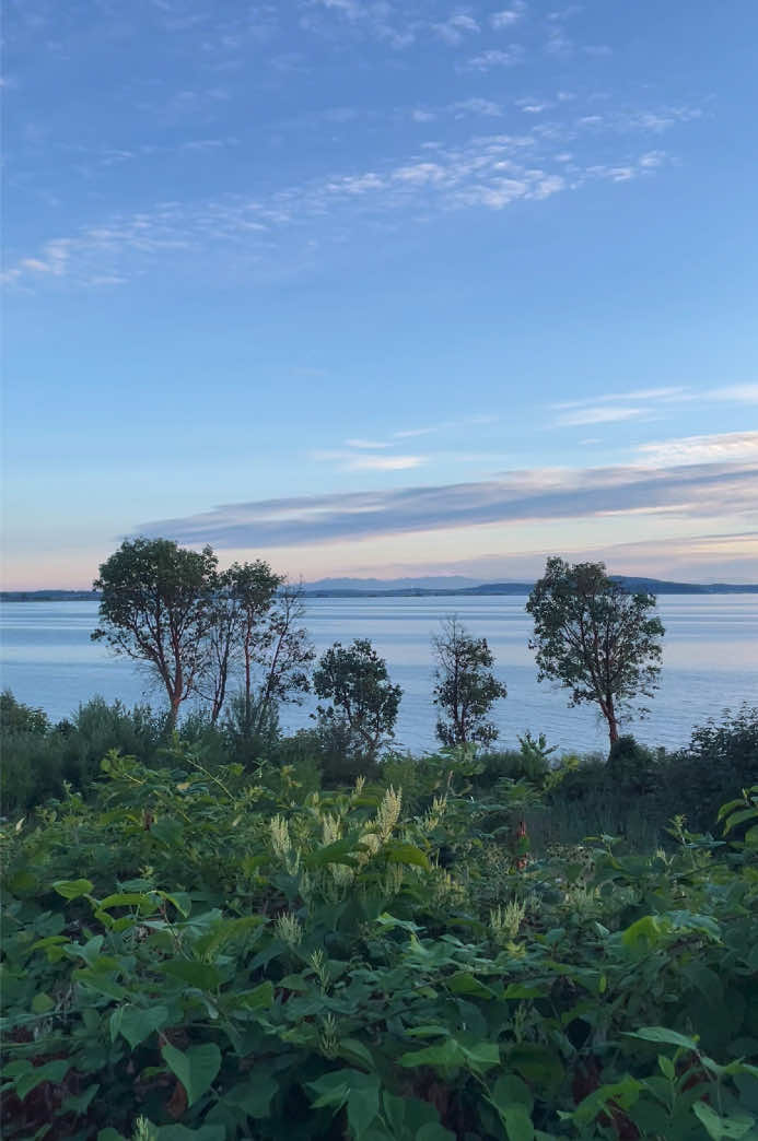 Chuckanut Drive