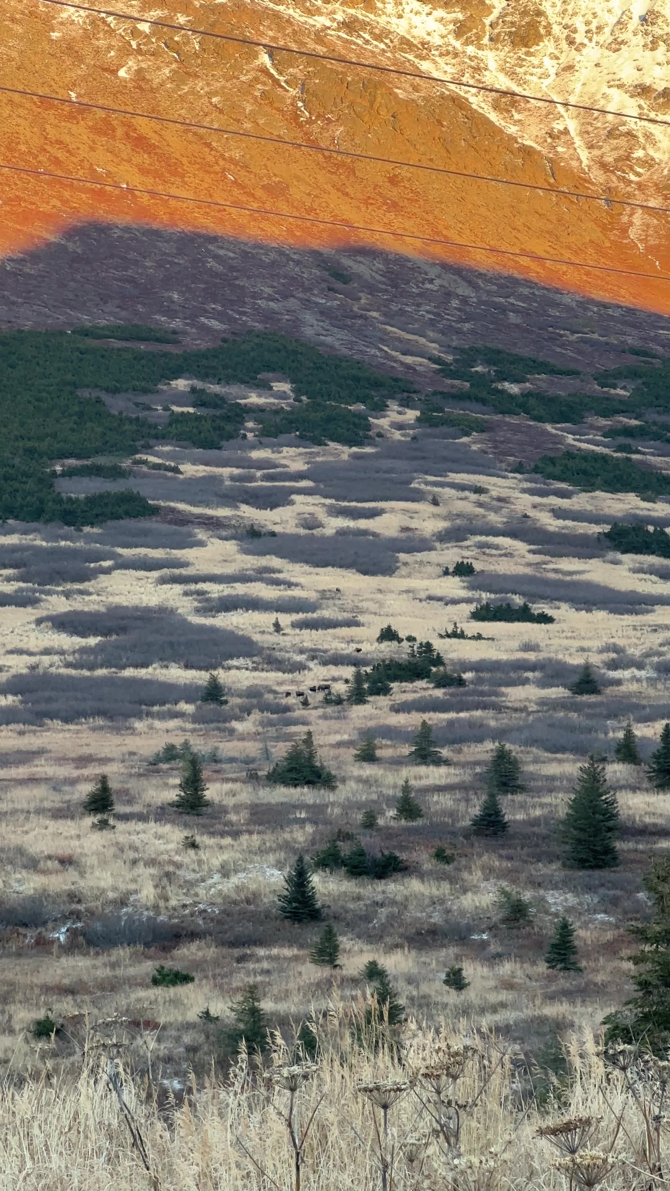 Chugach National Forest