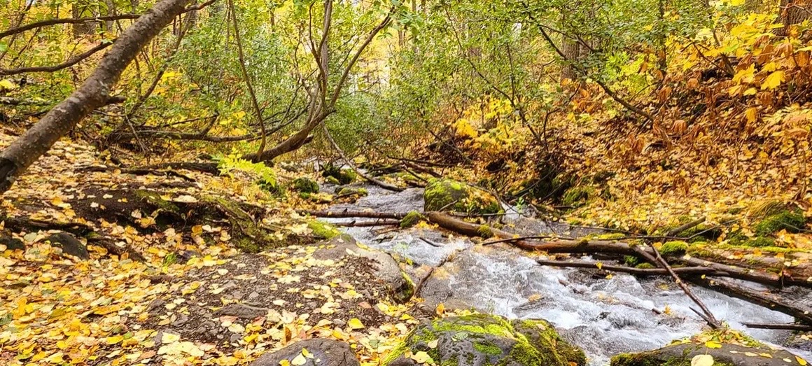 Chugach National Forest
