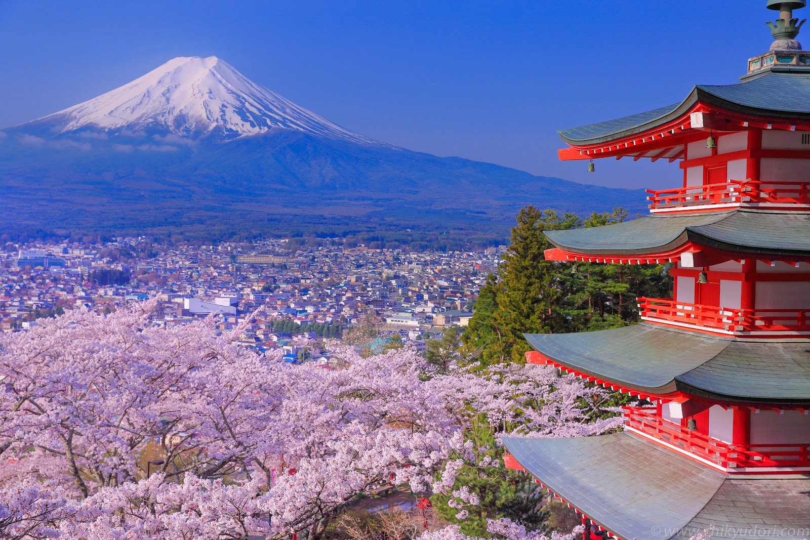 Chureito Pagoda (view of Mount Fuji)