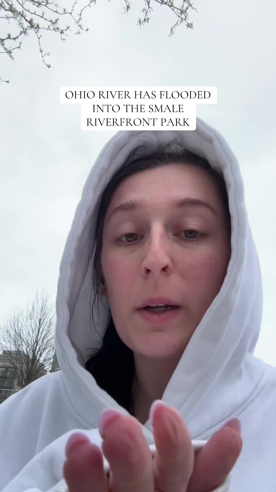 Cincinnati Riverfront Park (Smale Riverfront Park, Cincinnati, OH)