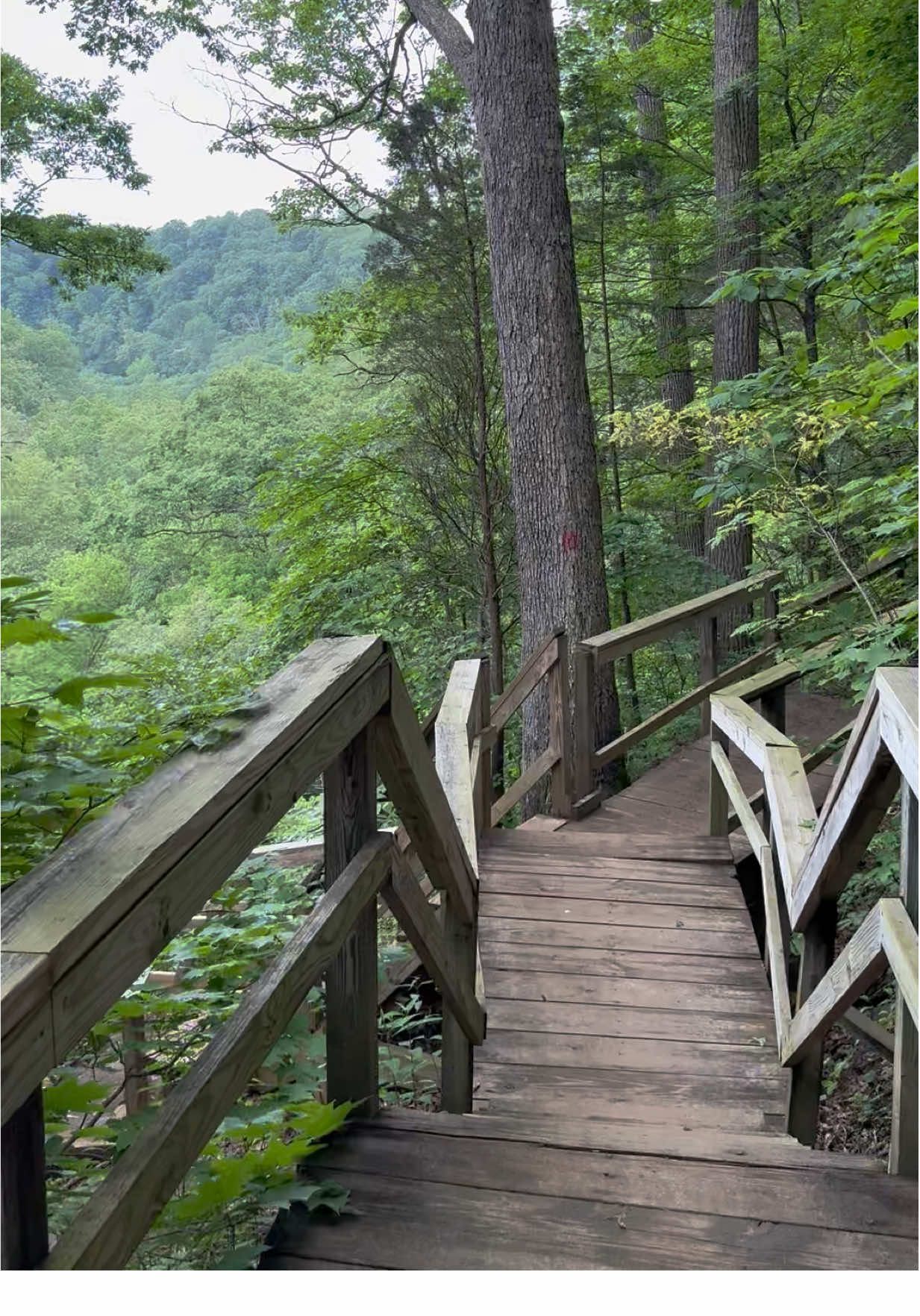 Clifty Falls State Park, Indiana