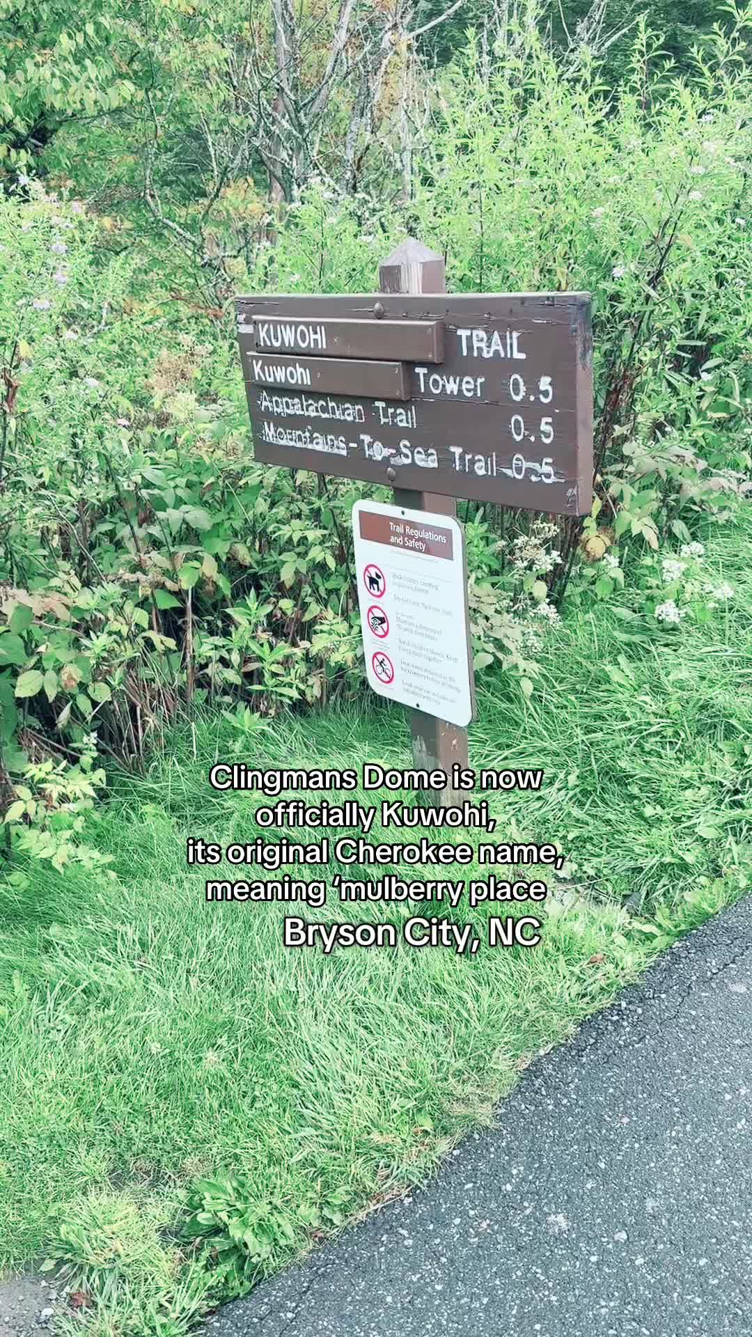 Clingmans Dome