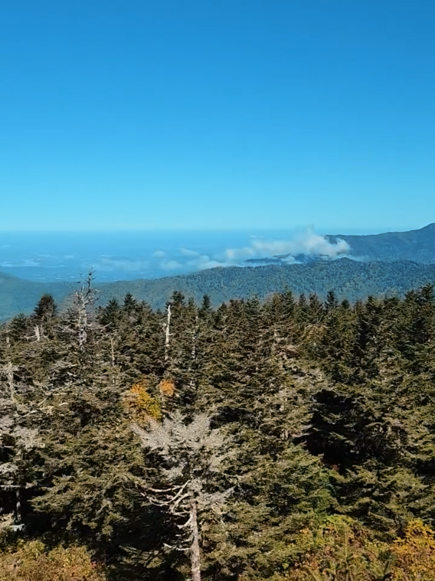 Clingmans Dome