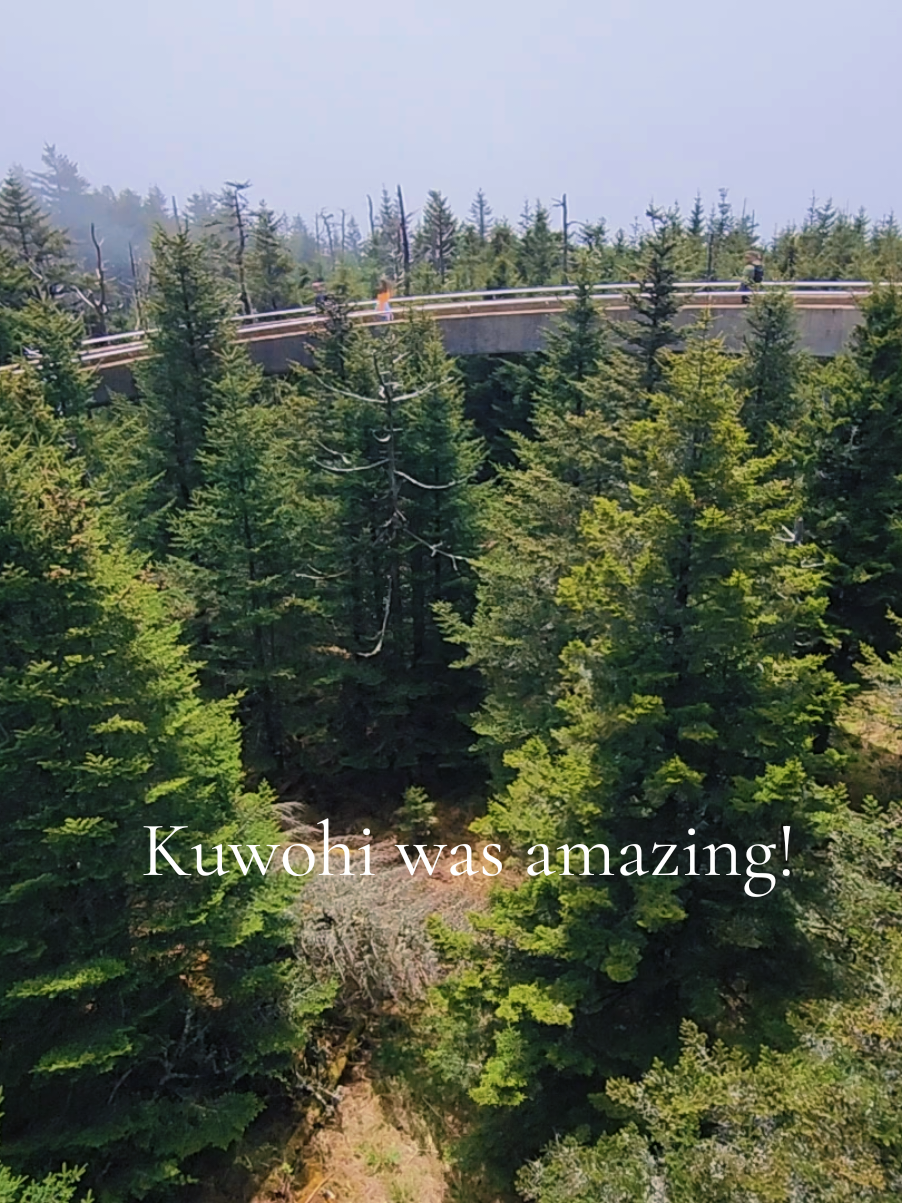 Clingmans Dome