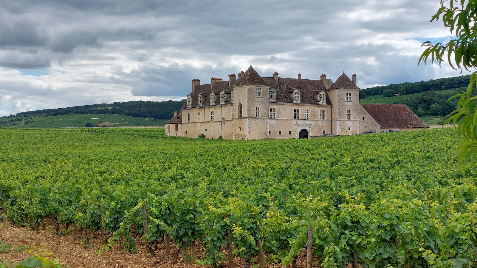 Clos de Vougeot (historic château)