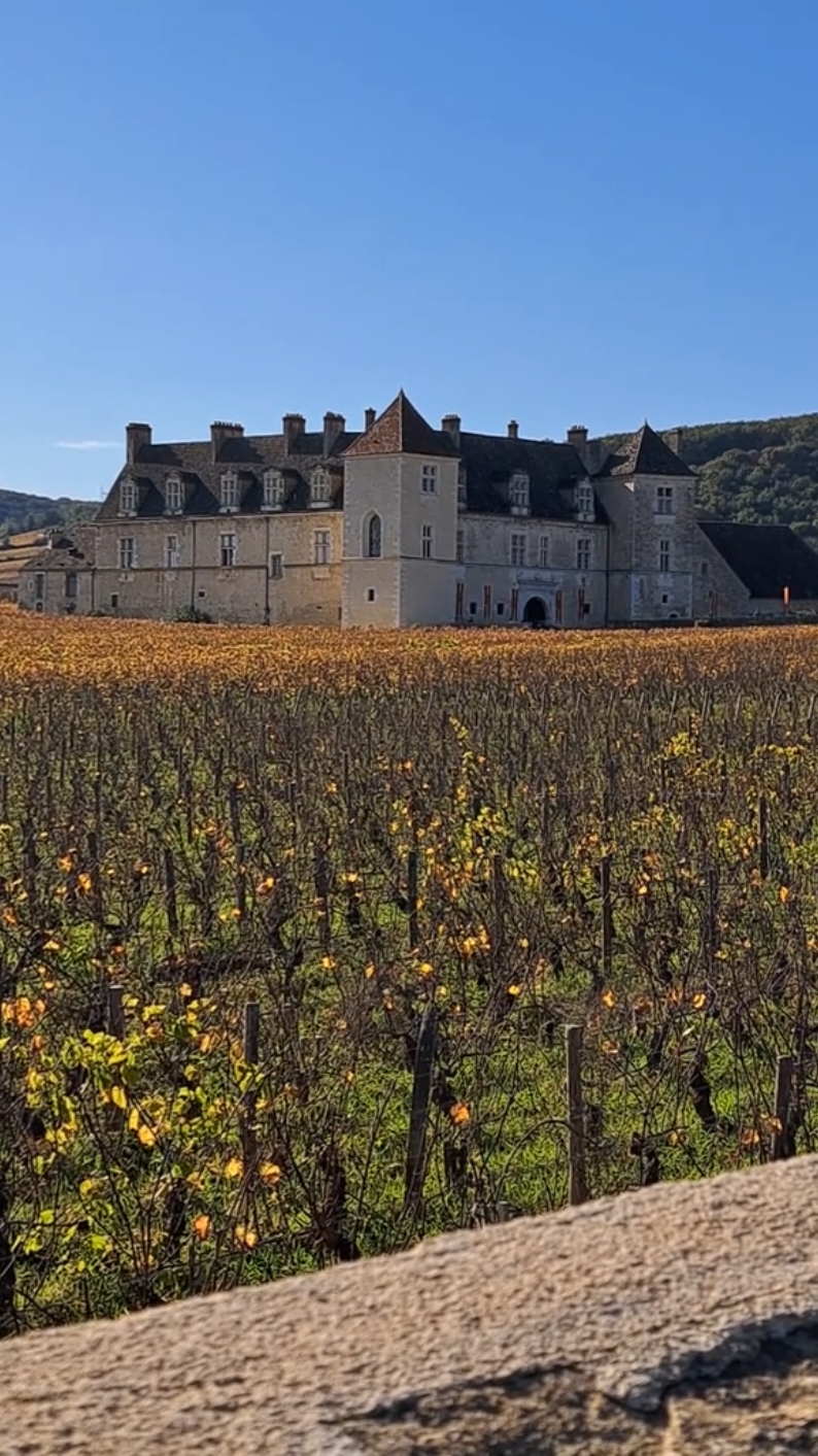 Clos de Vougeot (historic château)
