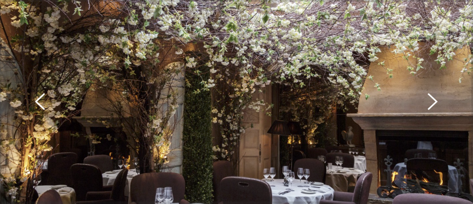 תמונה עבור Clos Maggiore