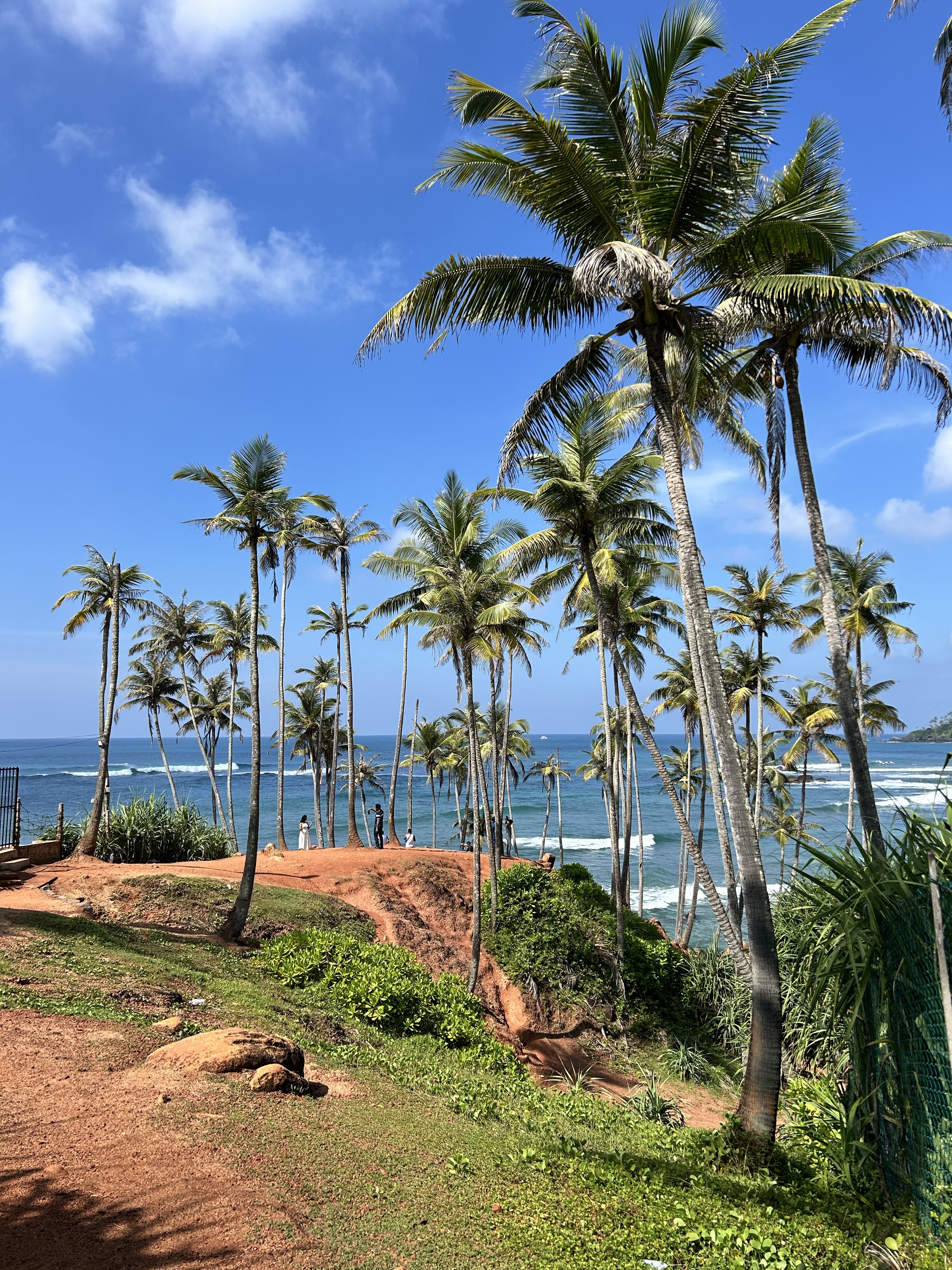 Coconut Tree Hill, Mirissa
