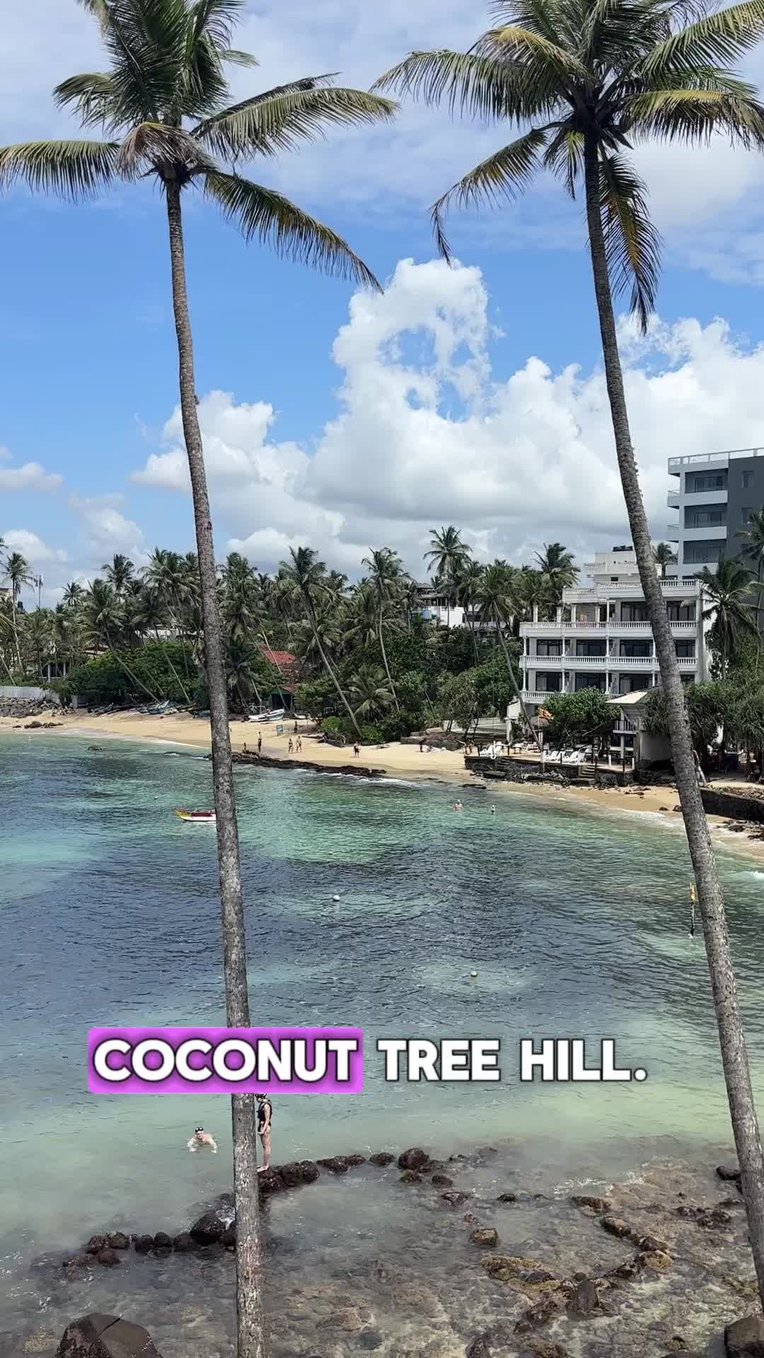 Coconut Tree Hill, Mirissa