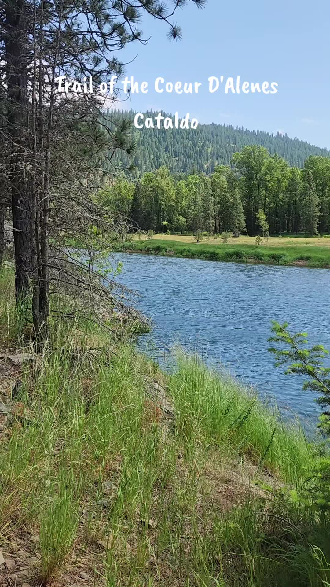 Coeur d'Alene