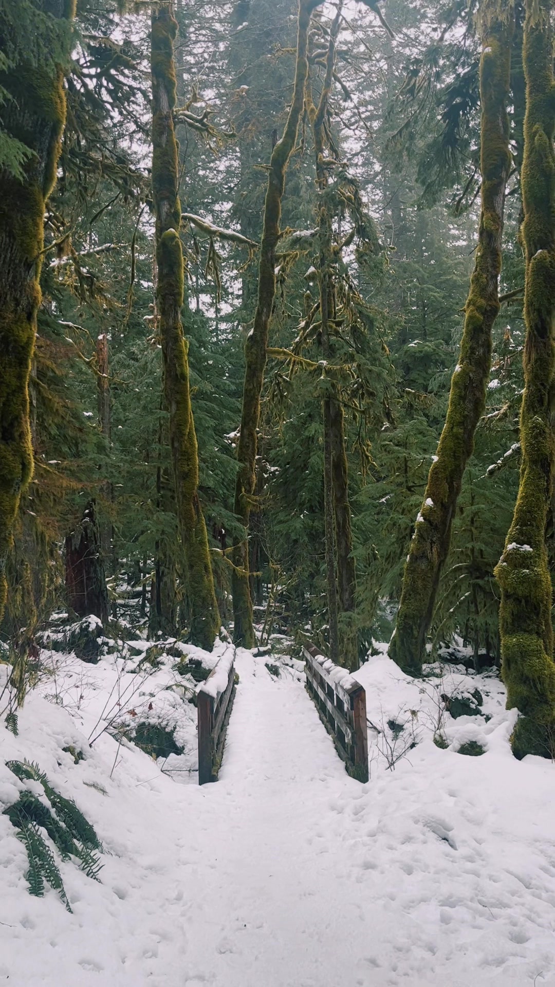 Columbia River Gorge