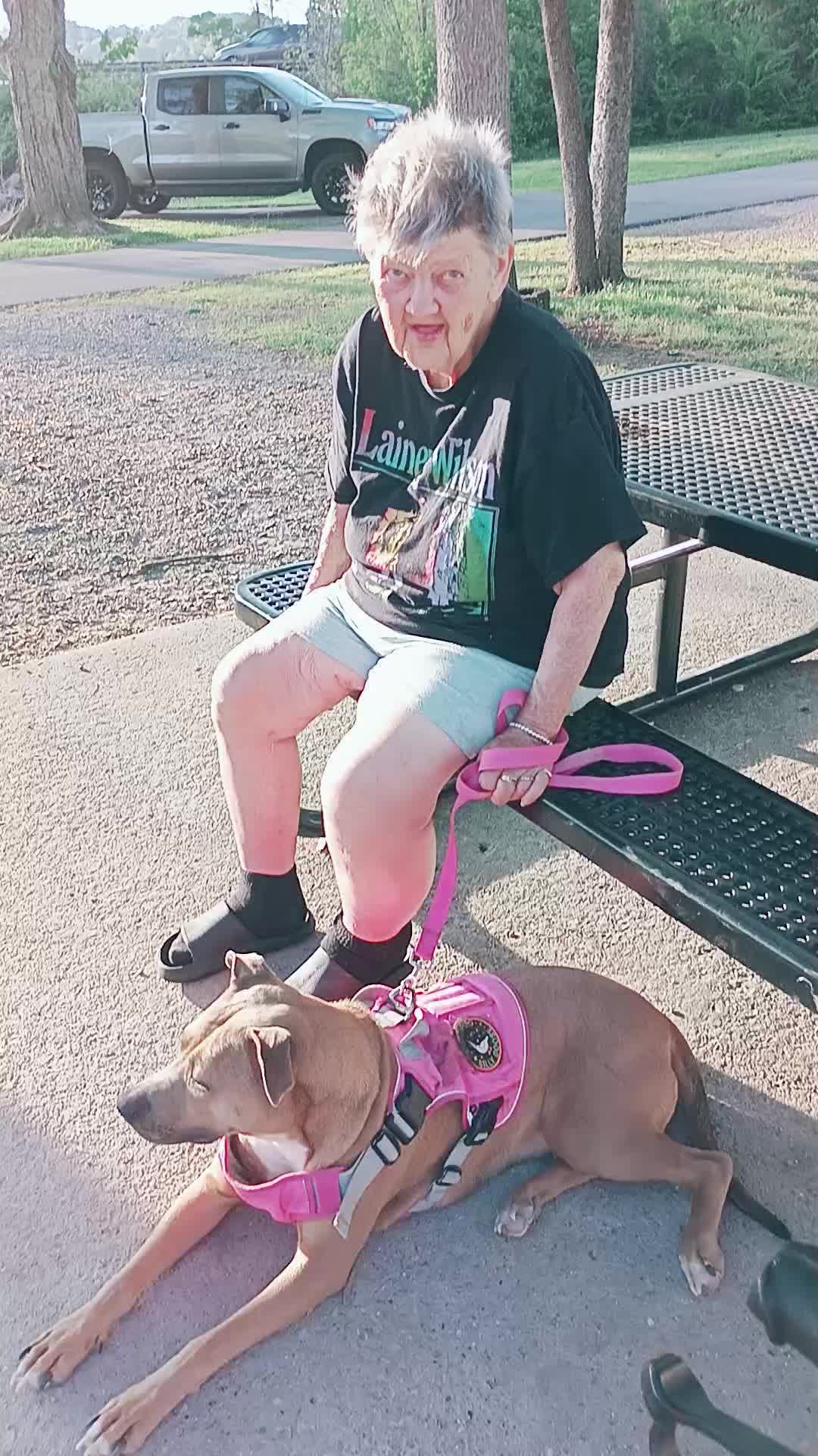 Concord Dog Park