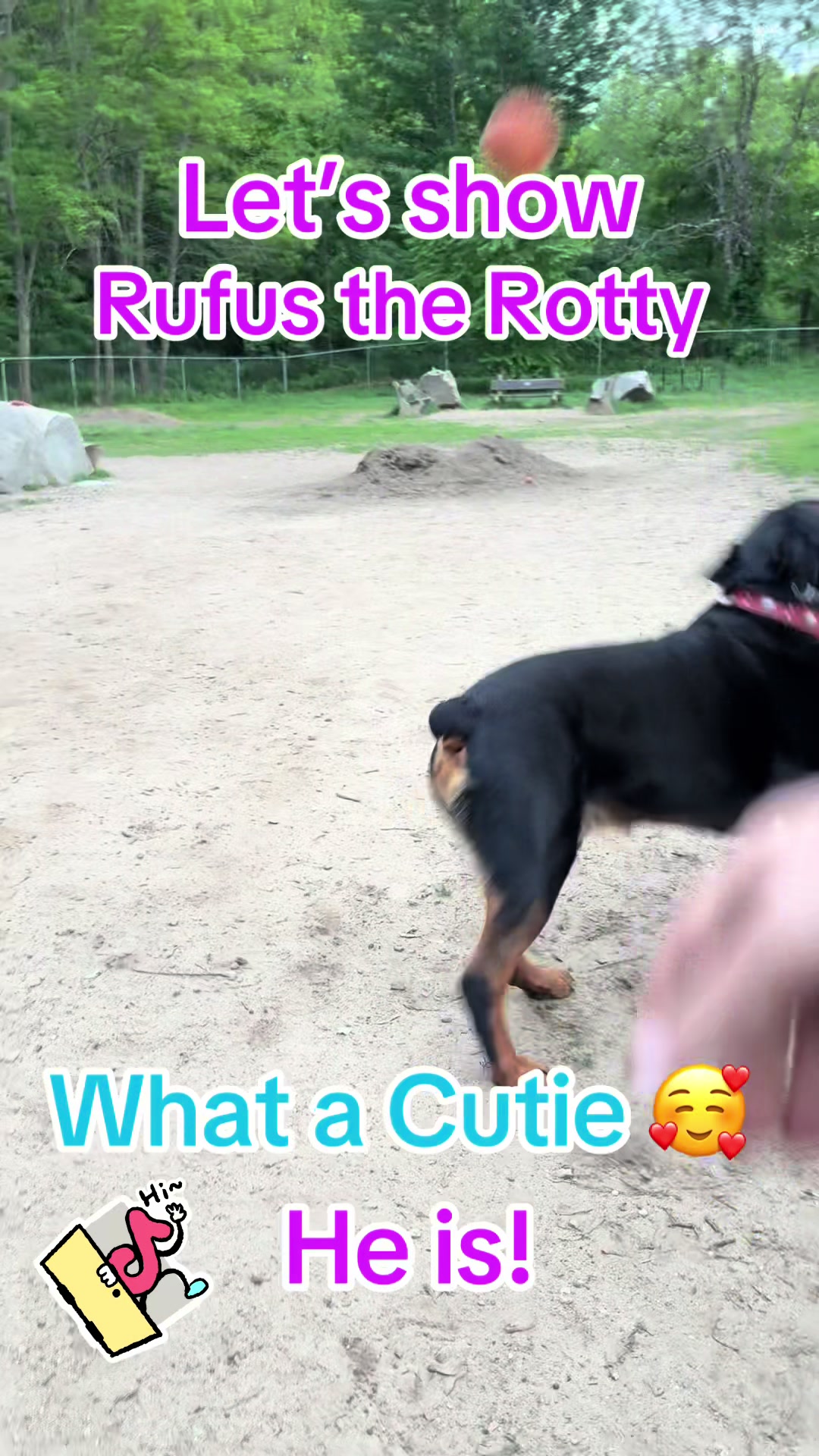 Concord Dog Park