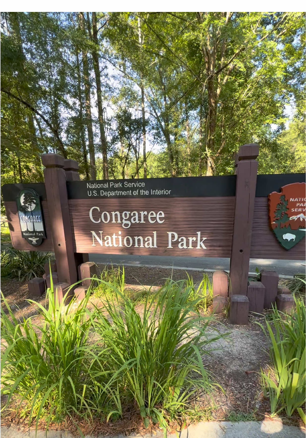 Congaree National Park