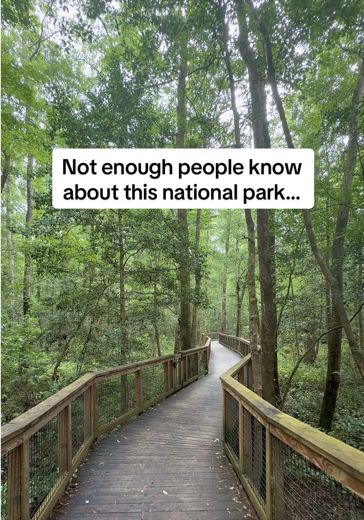 Congaree National Park