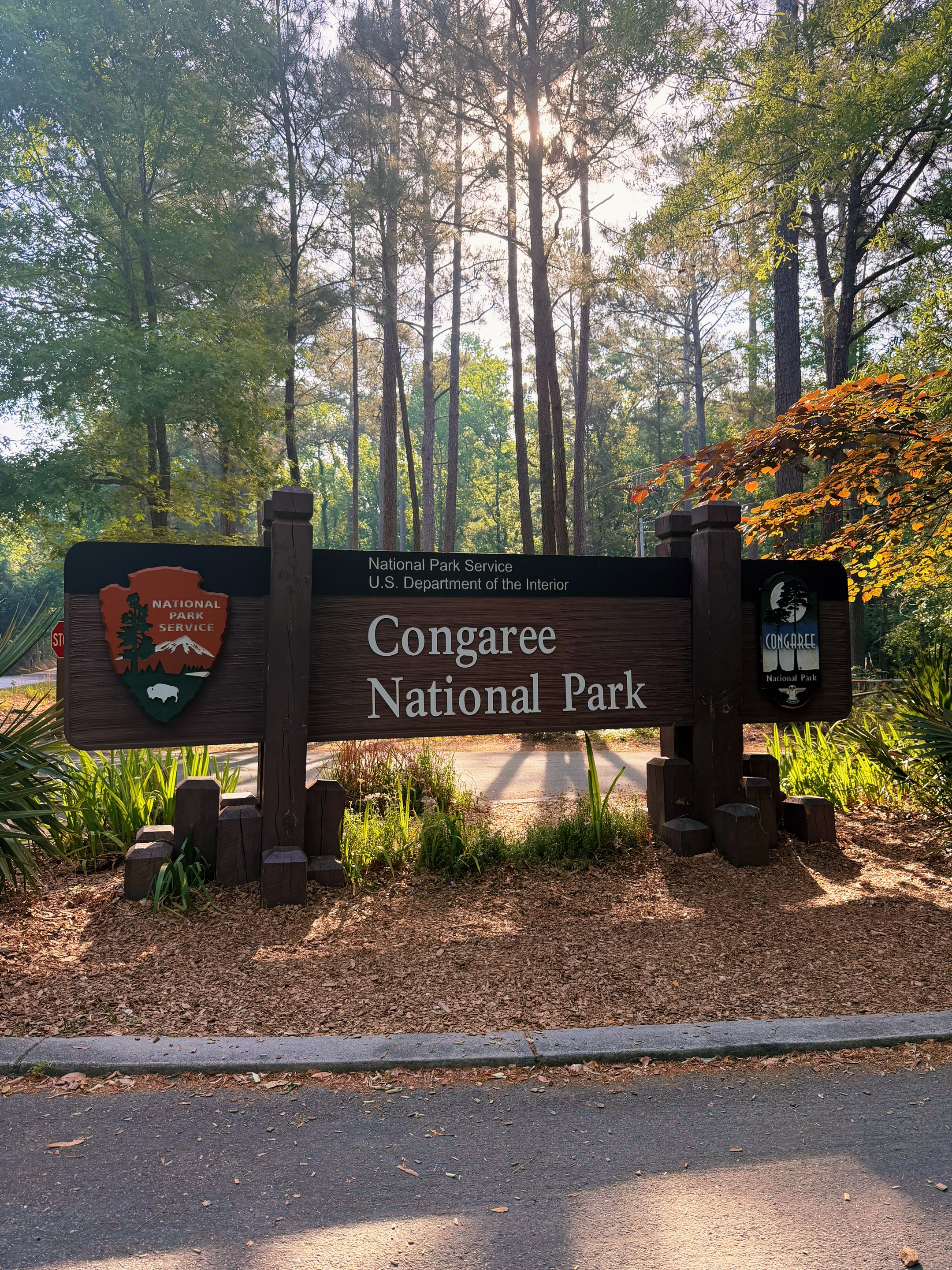 Congaree National Park