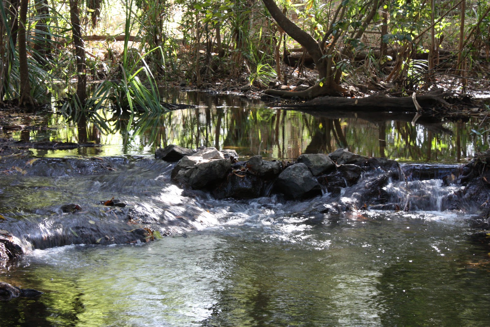 Coomalie Creek