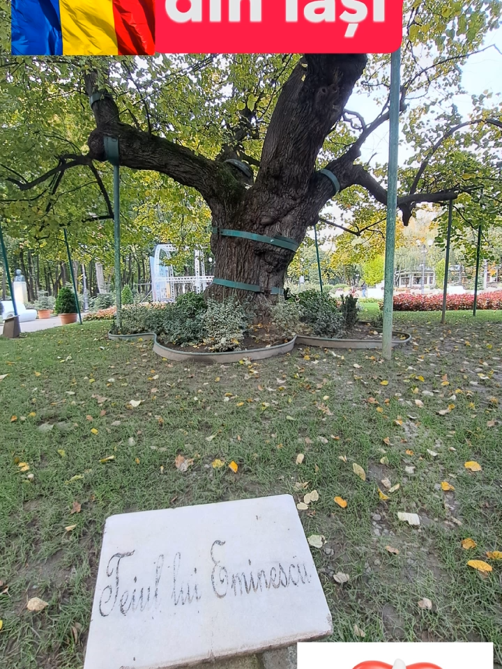 Copou Park & Eminescu’s Linden Tree (פארק קופאץ' ועץ הלינדן של אמינסקו)